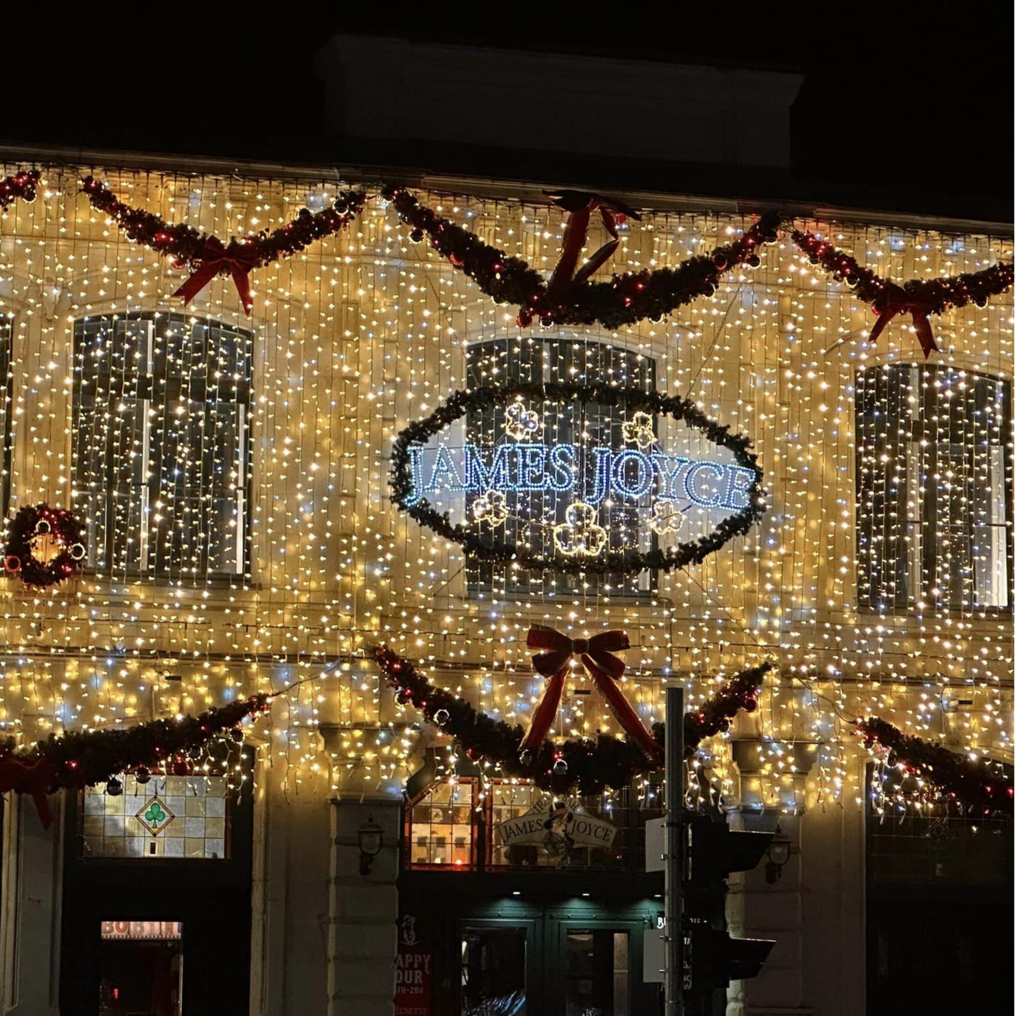 Guirlande professionnelle ou grand public : [quelles spécificités ?]