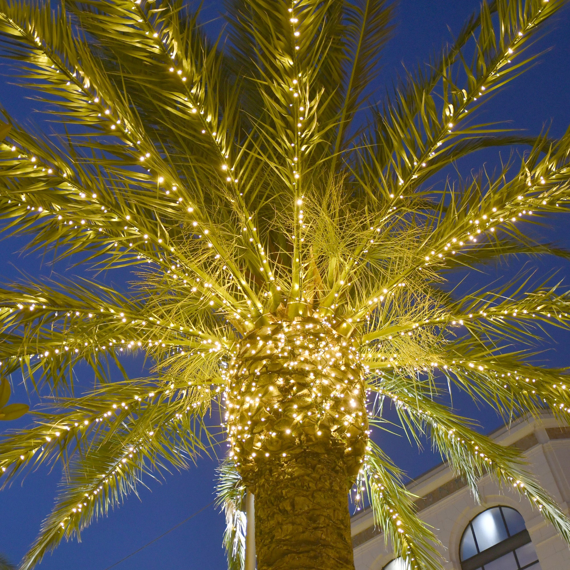 Nos conseils pour vos [installations ] 24V