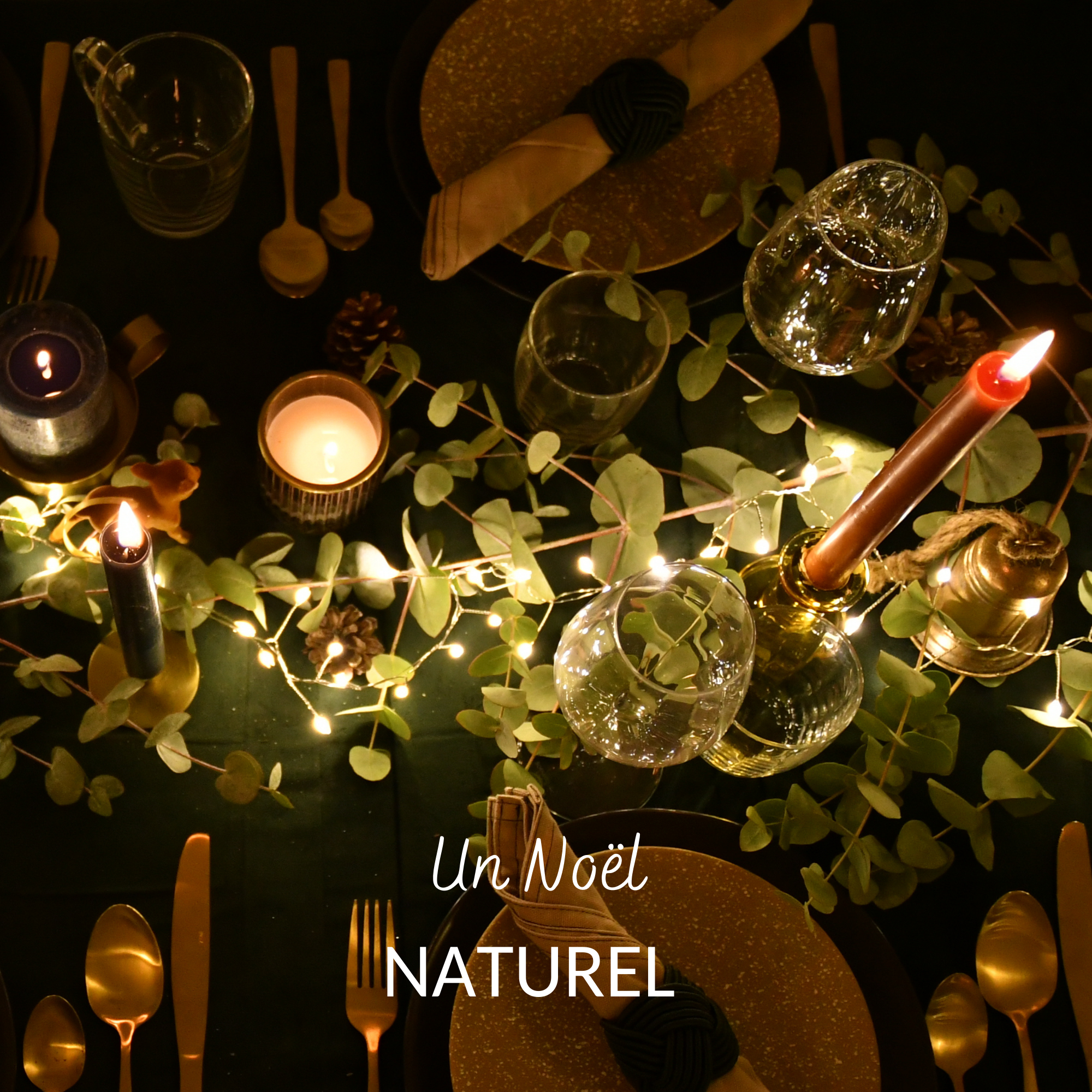 Un noël inspiré de la [nature]