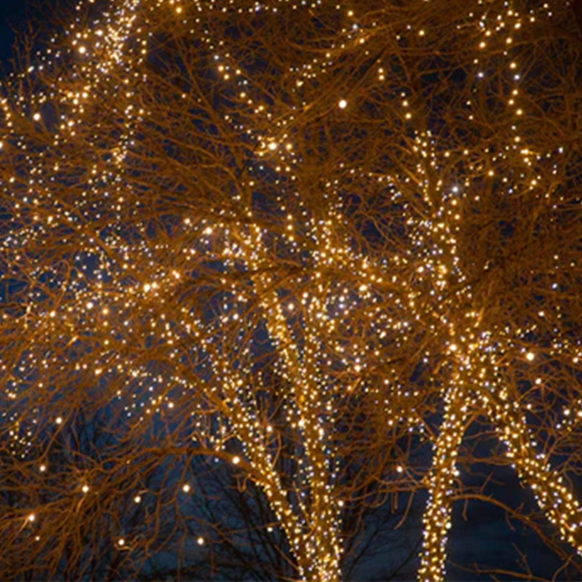 Qu'est-ce que la gamme  [Optima ?]