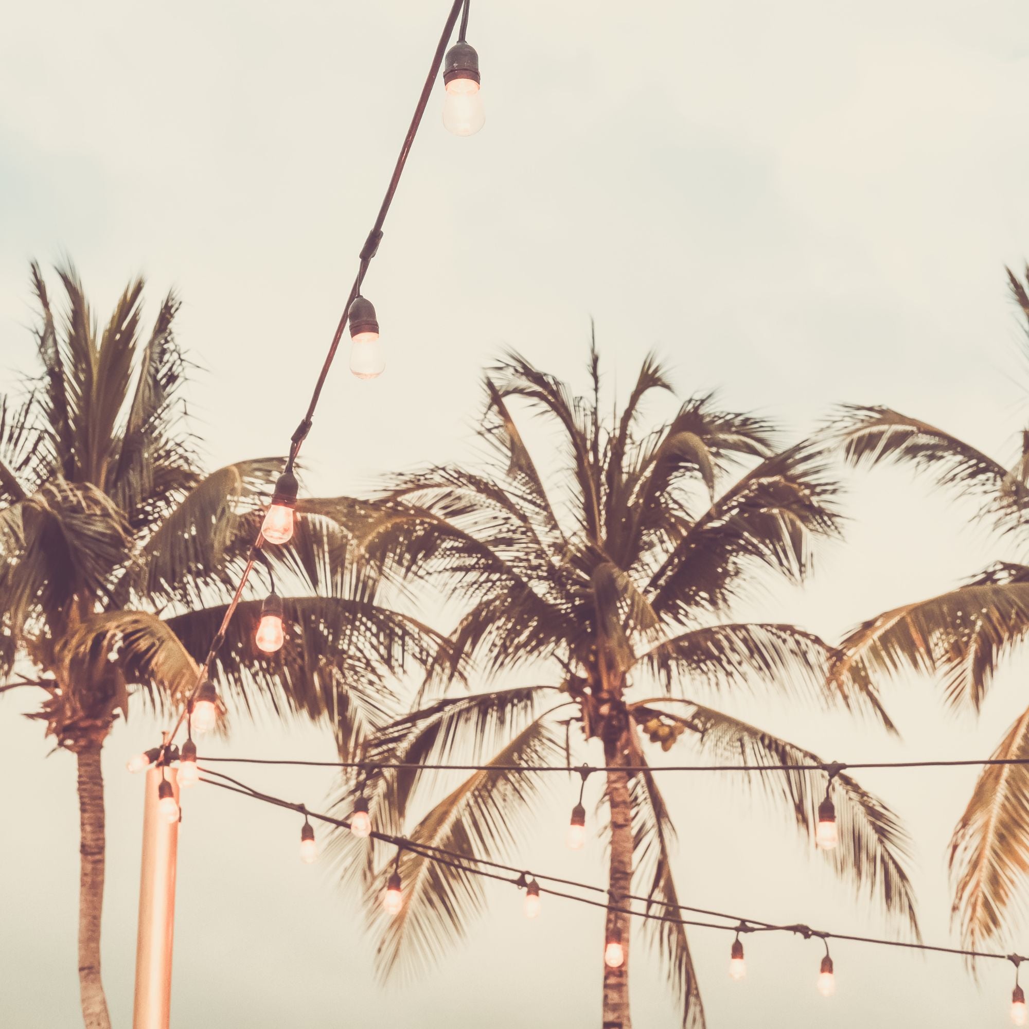 Guirlande guinguette : Guide et astuces pour choisir votre [guirlande idéale]