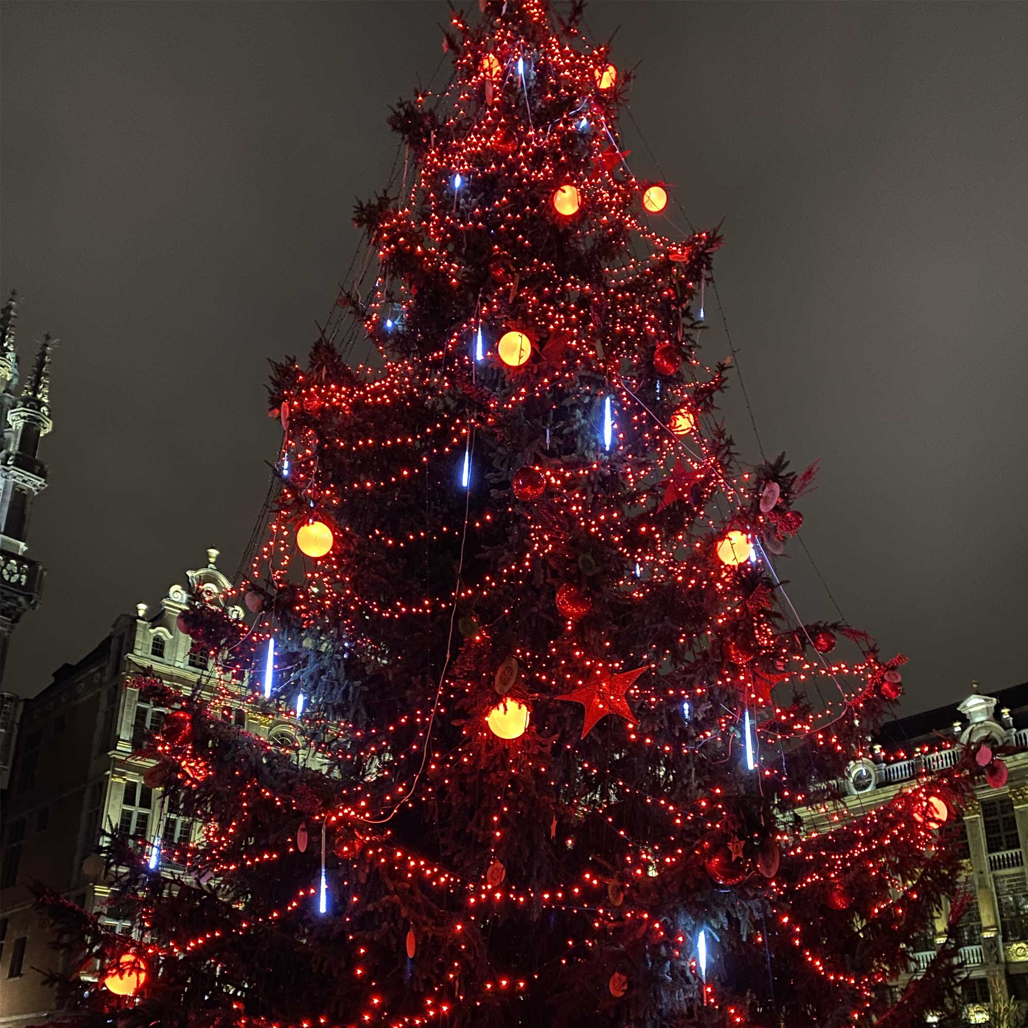 Guirlande scintillante L20m - 230V