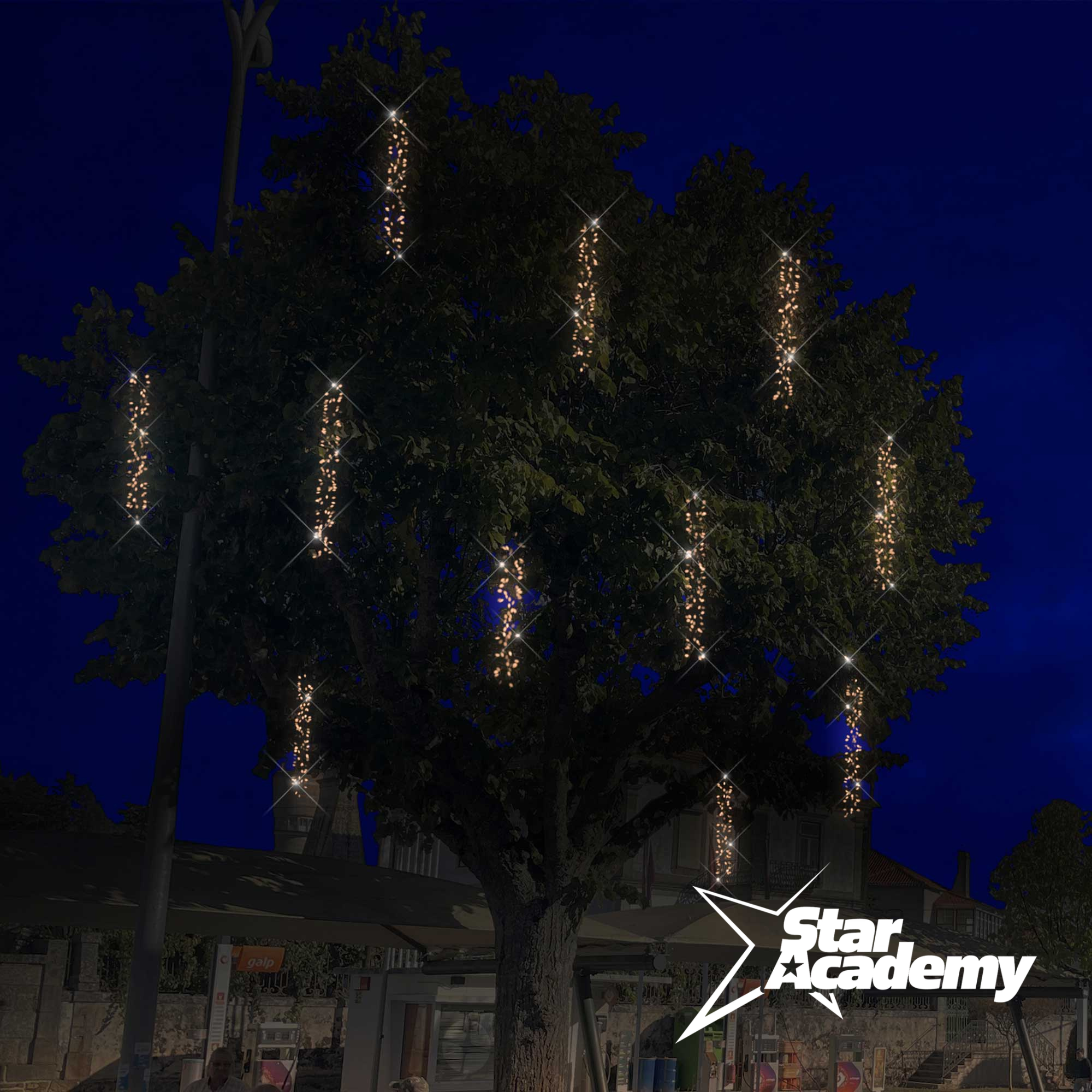 Boa scintillant L6m - 230V