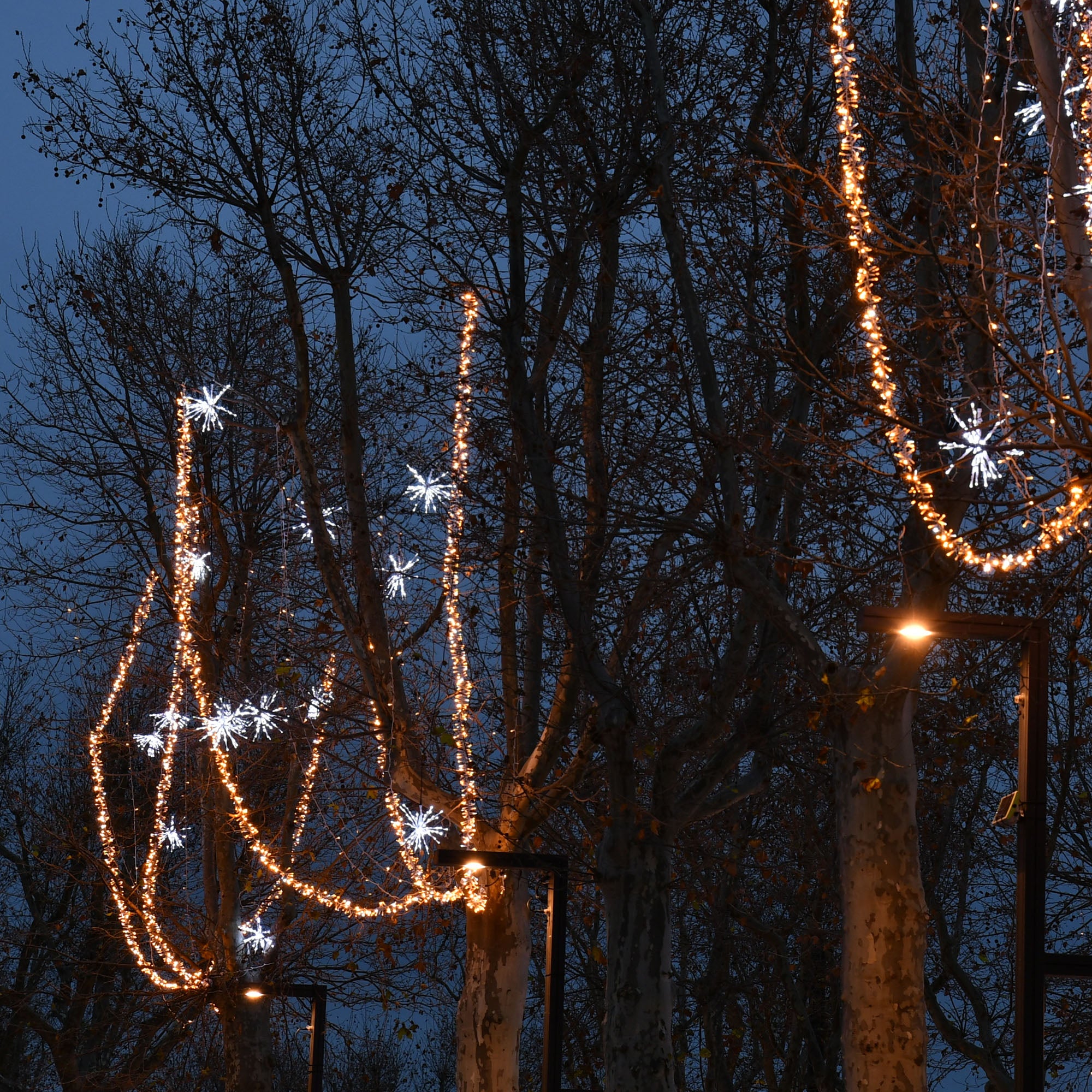 Bouquet scintillant - 230V