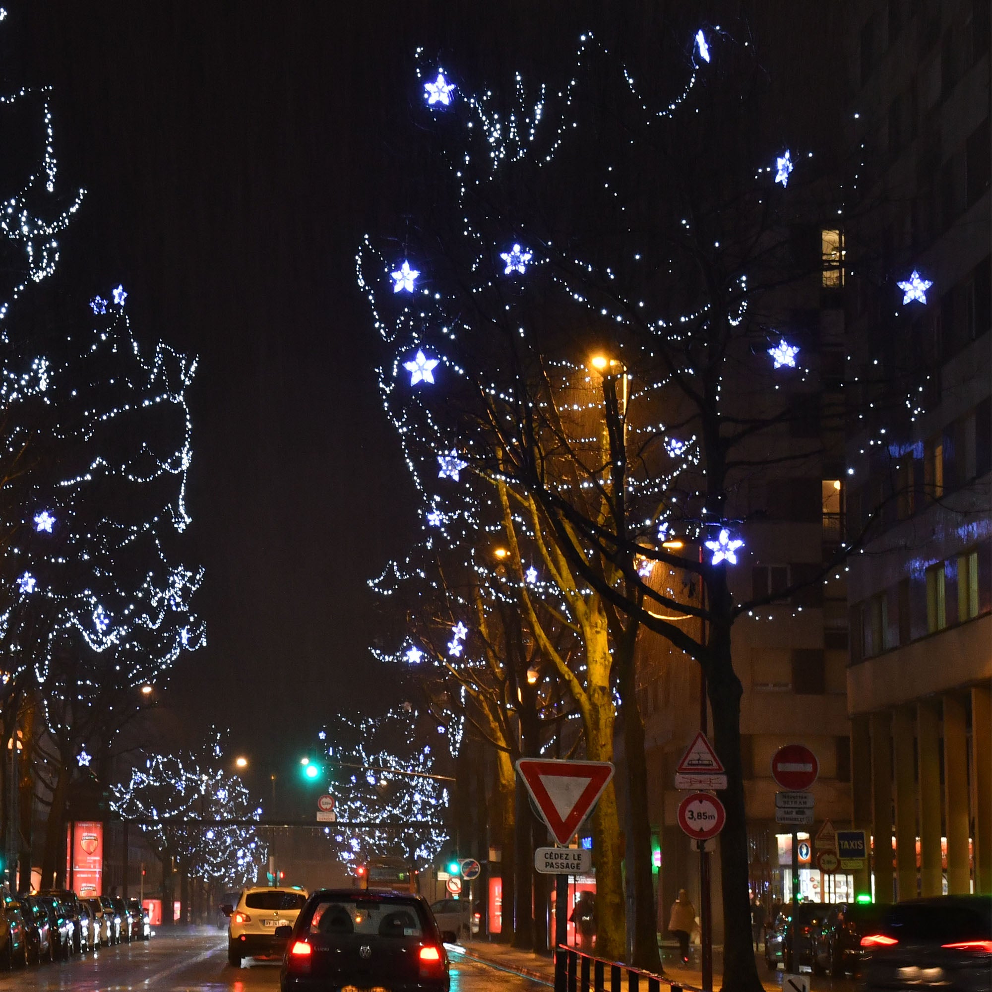 Guirlande Stelliz animé L3m - 230V