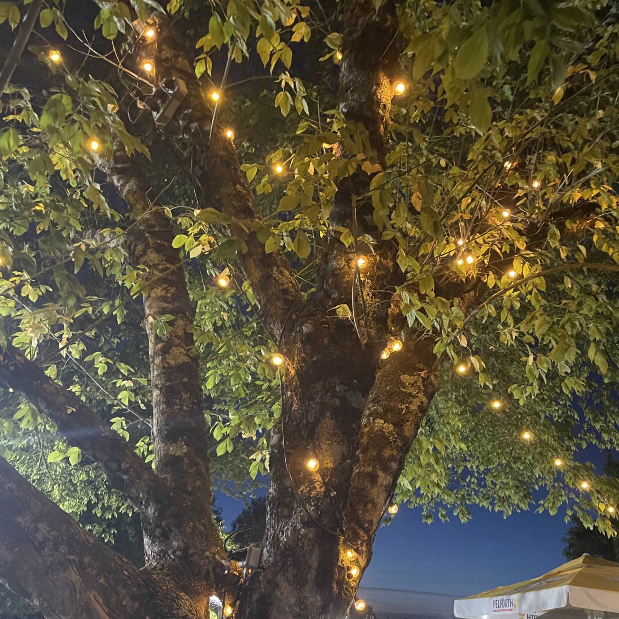 Guirlande guinguette Tradition