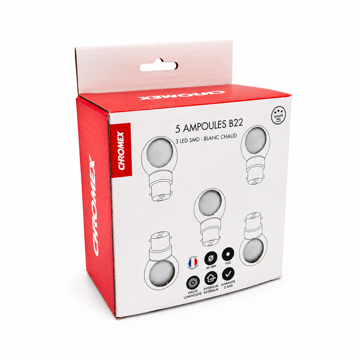 Pack de 5 ampoules B22