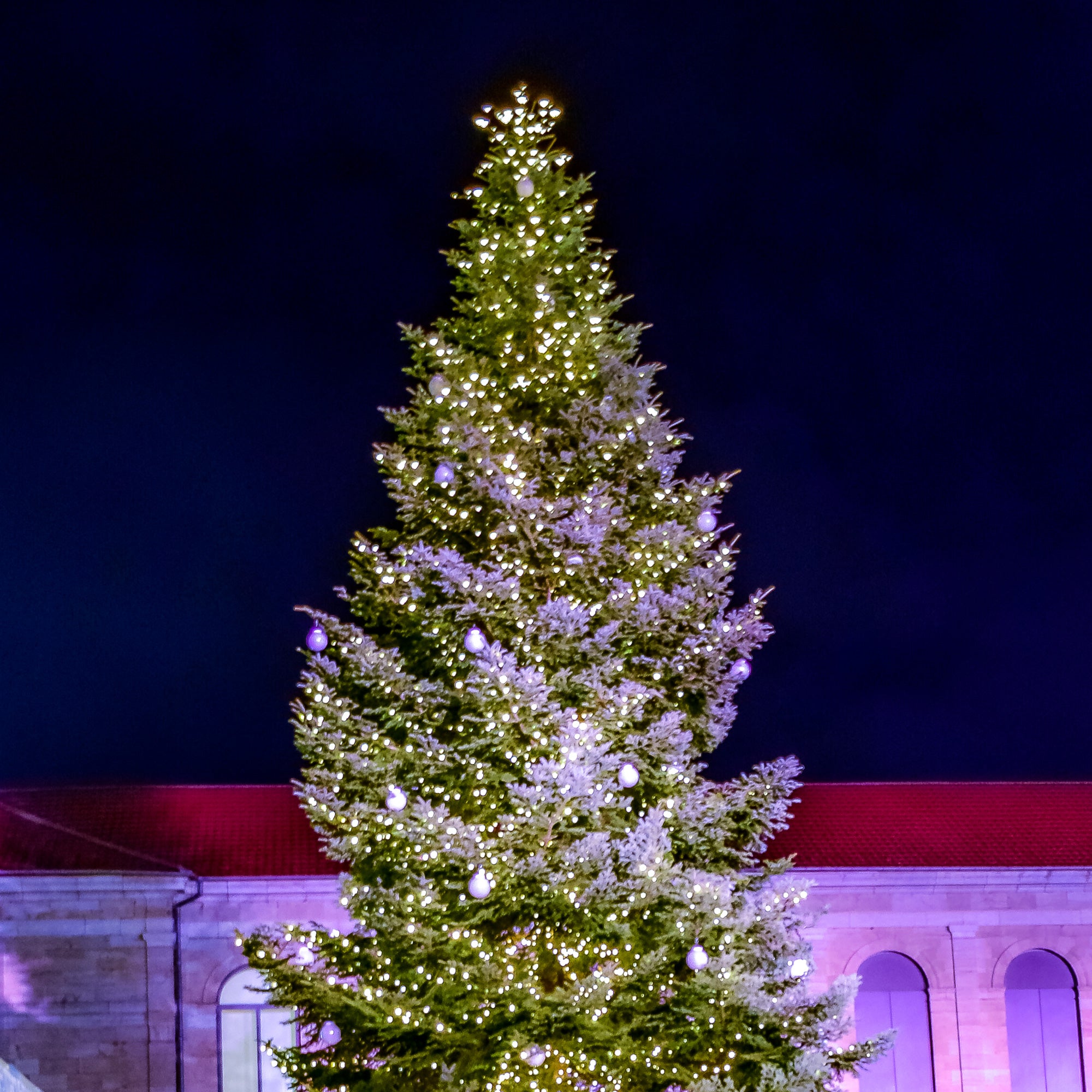 Guirlande fixe L20m - 24V