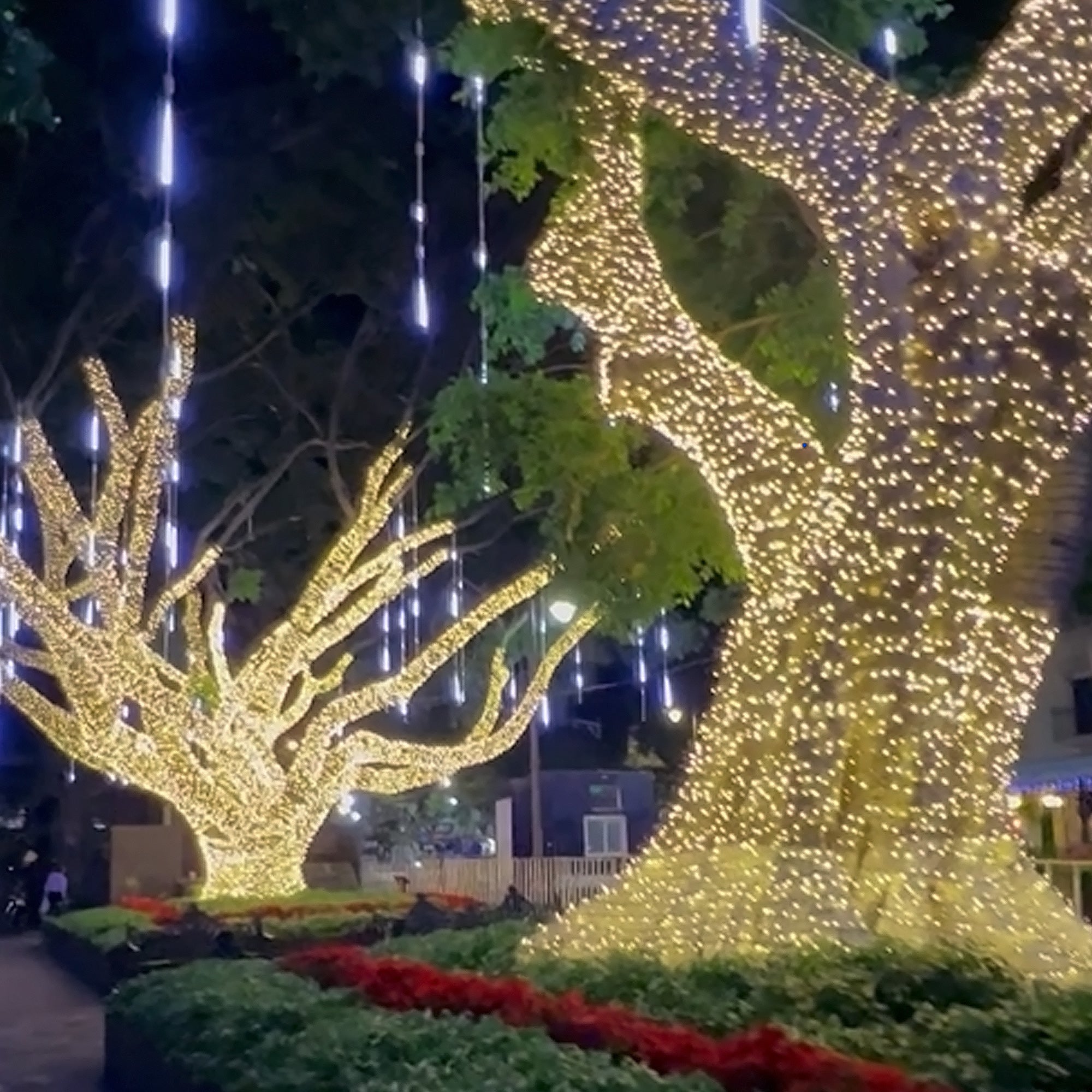 Guirlande fixe L20m - 24V