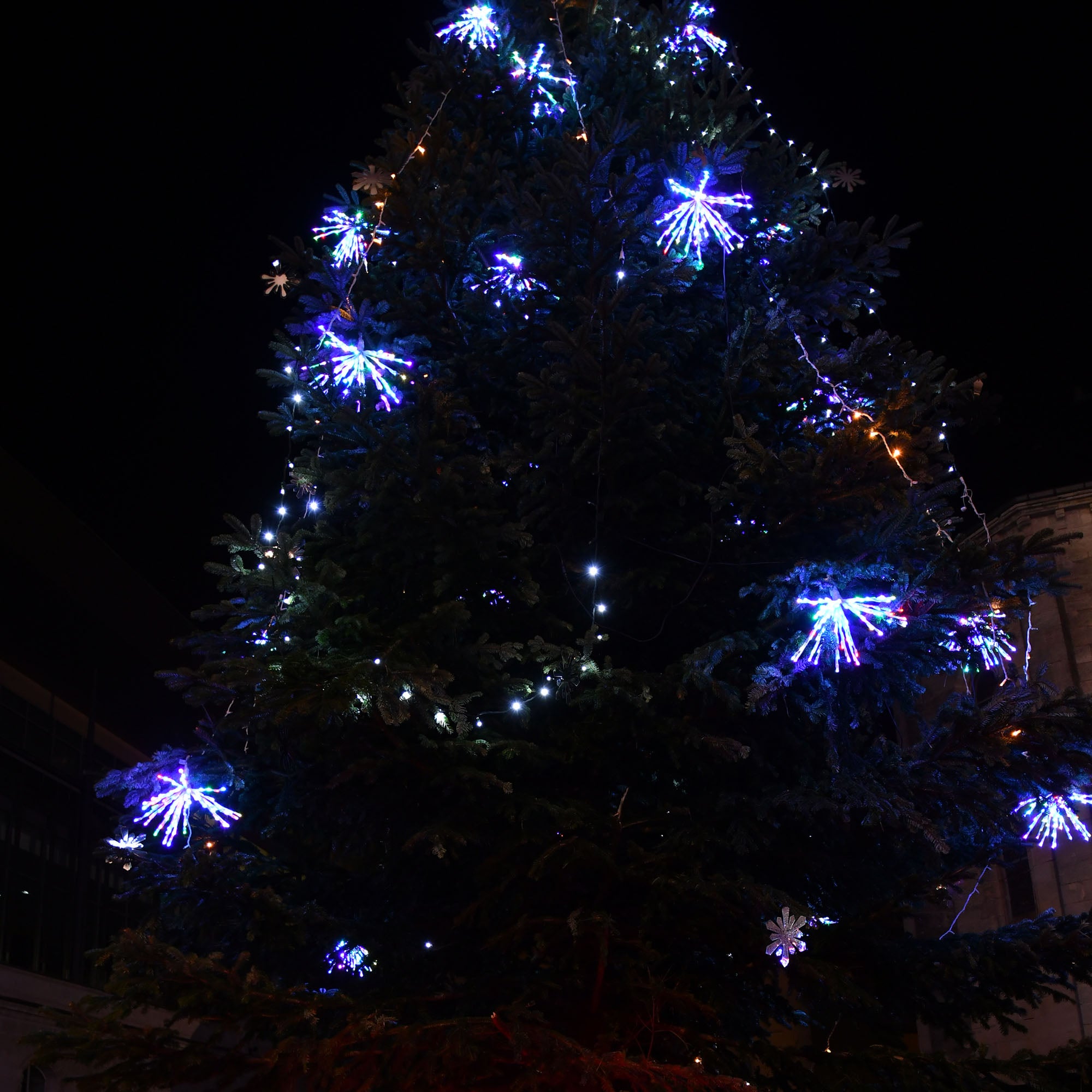 Bouquet confetti - 230V