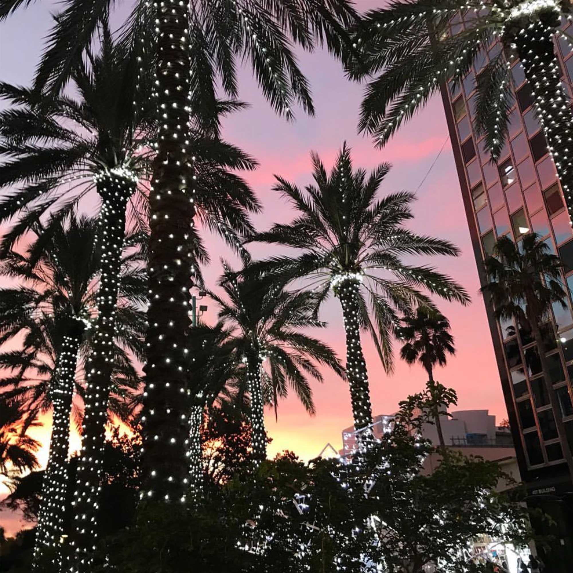 Guirlande scintillante Classic'line L20m -230V