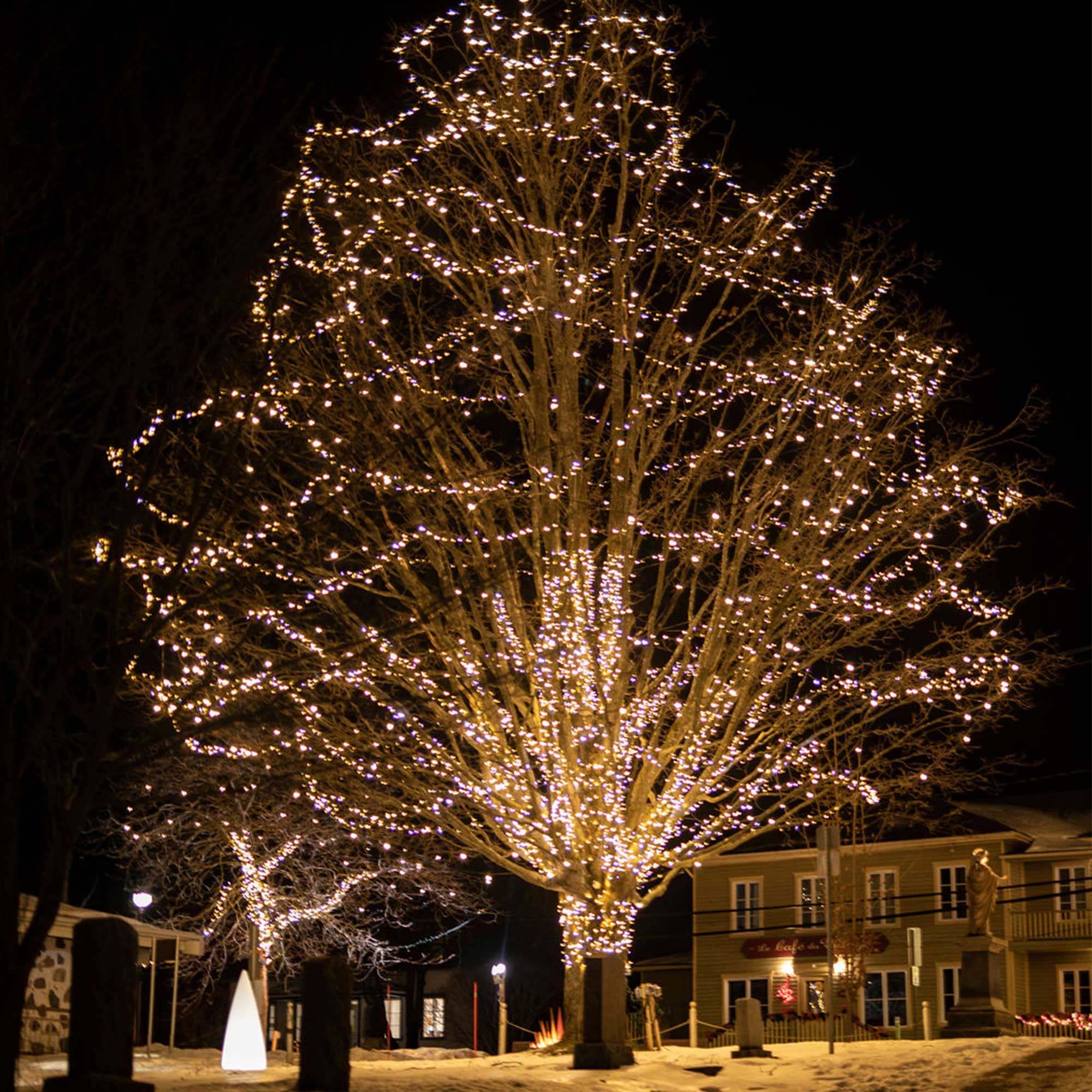 Guirlande scintillante Classic'line L20m -230V