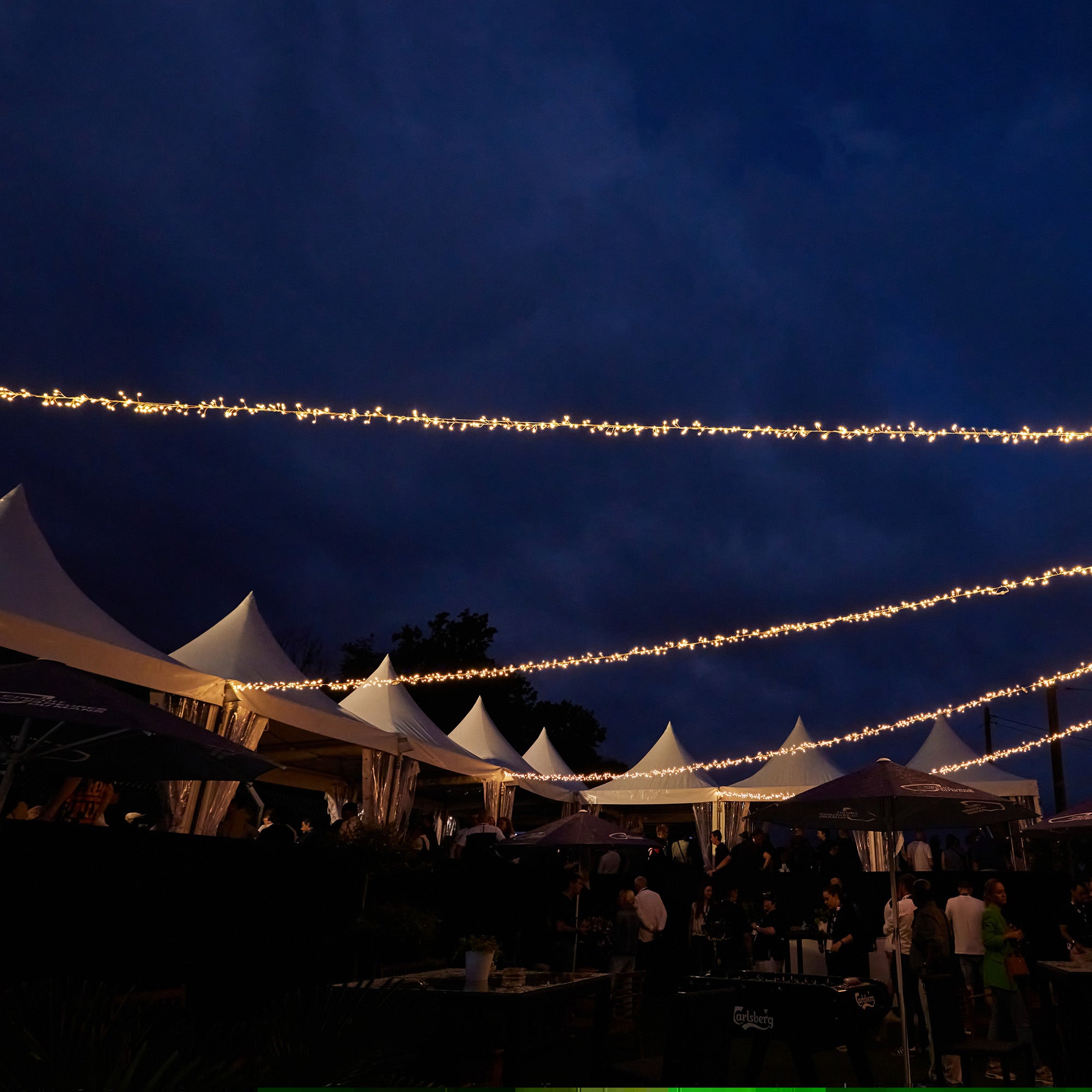 Guirlande Boa microled fixe L20m - 24V