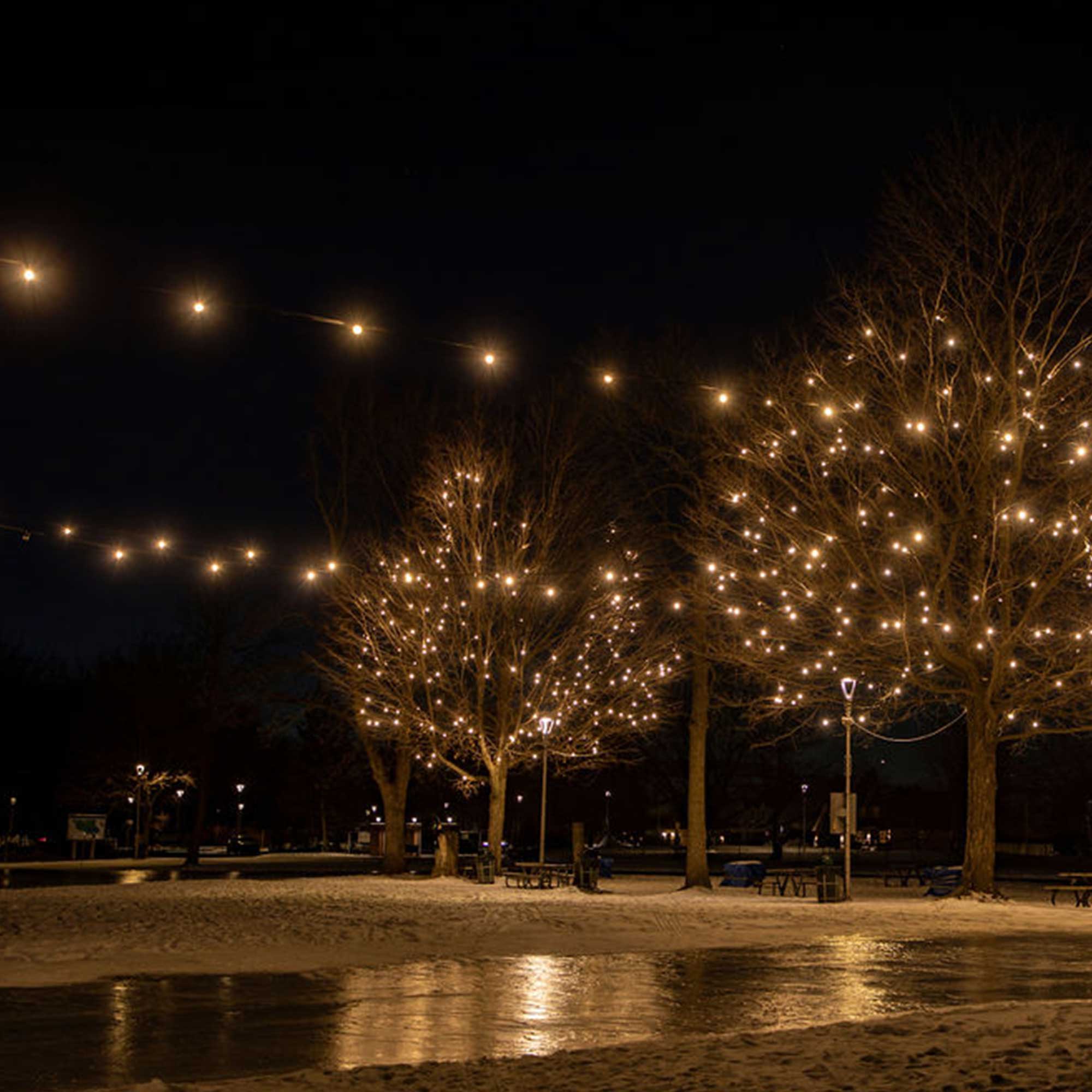 Guirlande guinguette E27 L10m