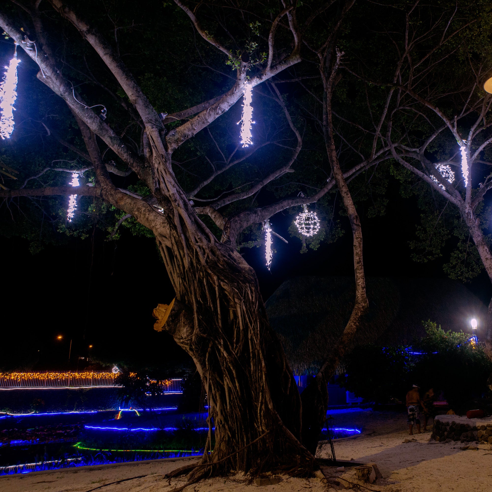 Cheveux d'ange confetti - 24V