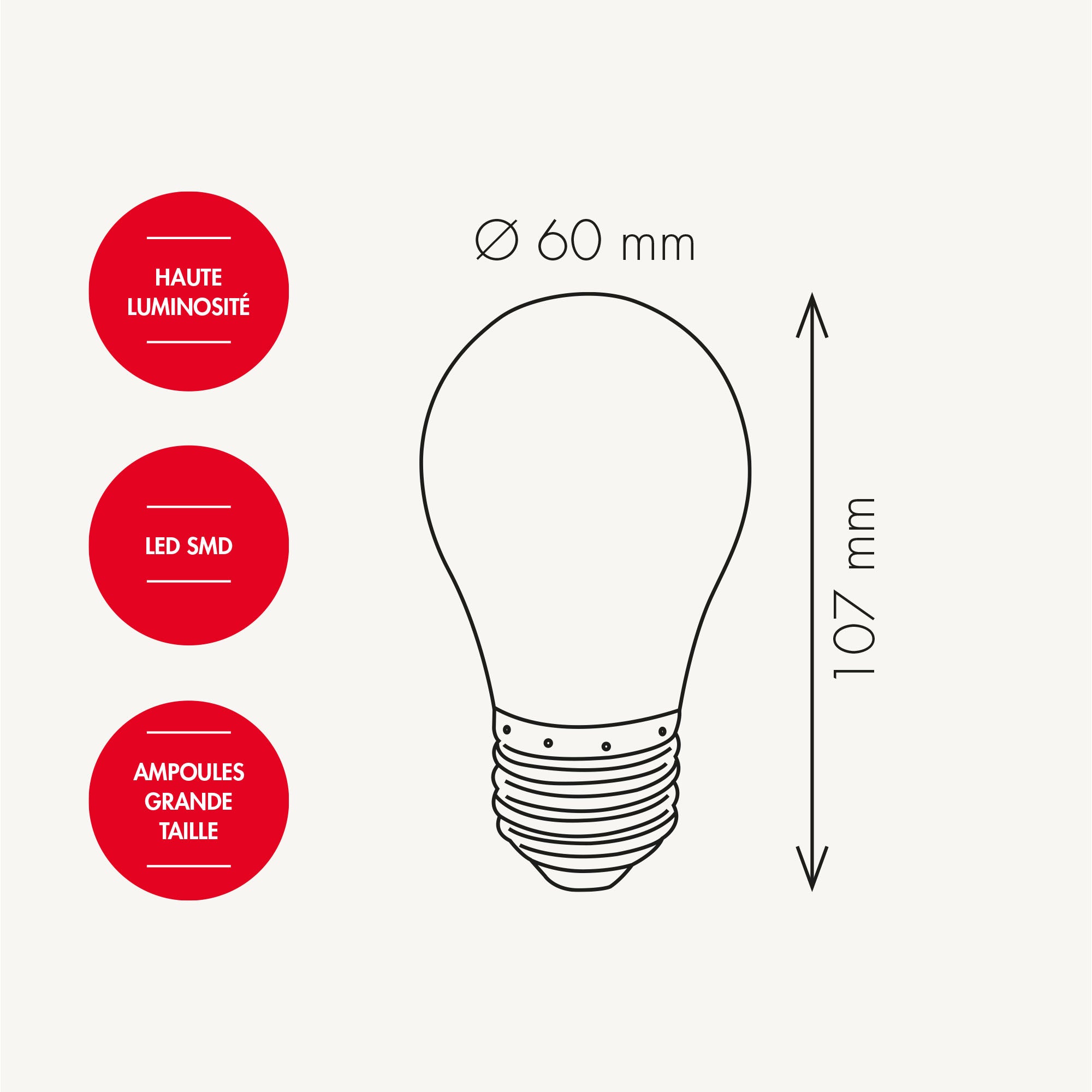 Lot de 5 ampoules E27