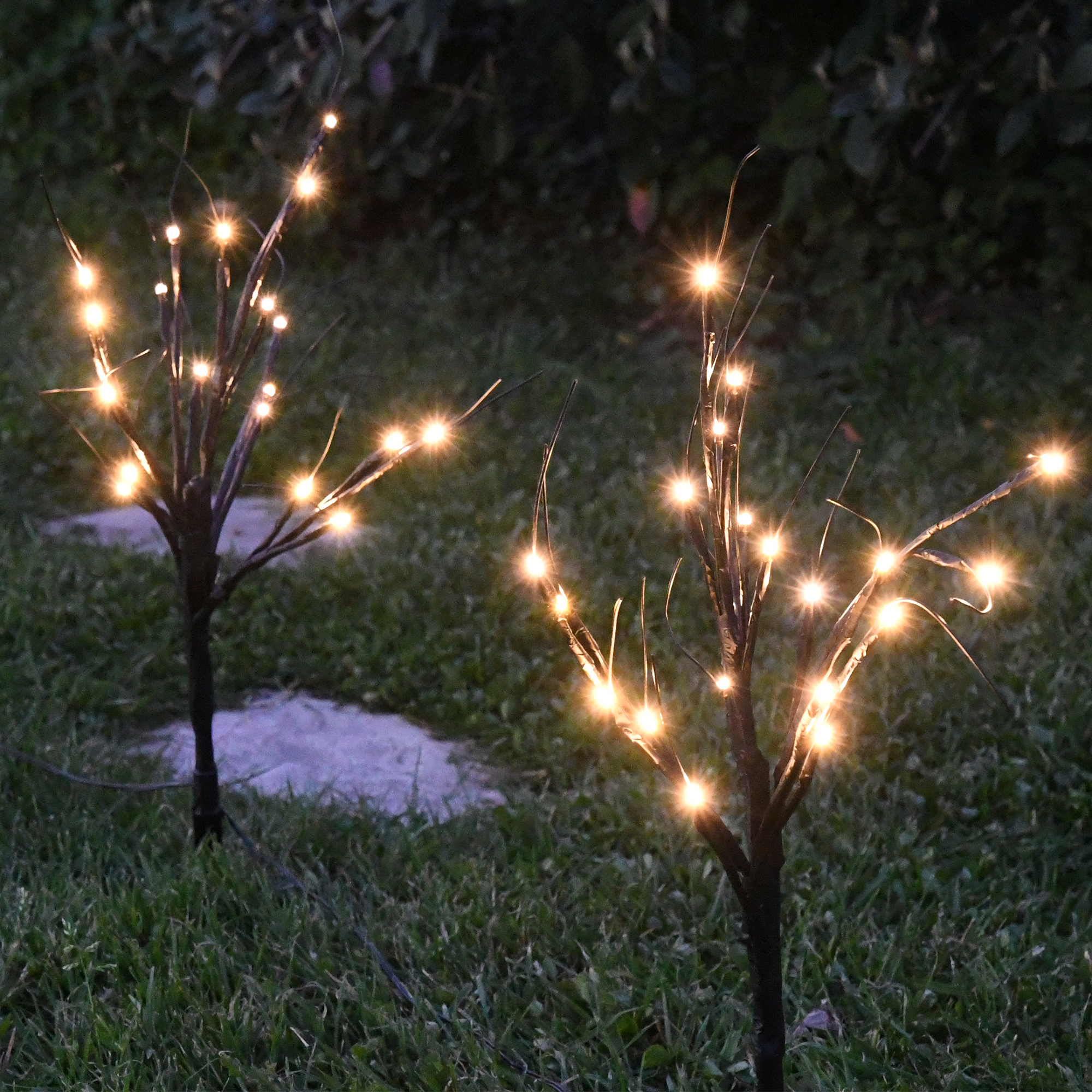 Piquets brindilles à planter