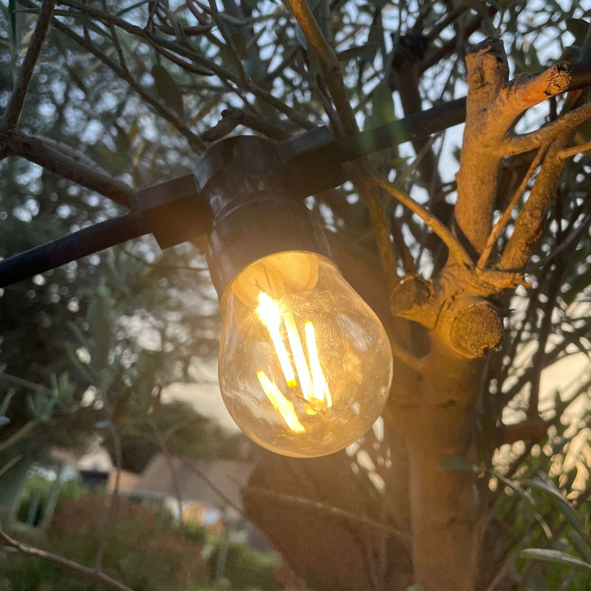 Guirlande guinguette B22 filament