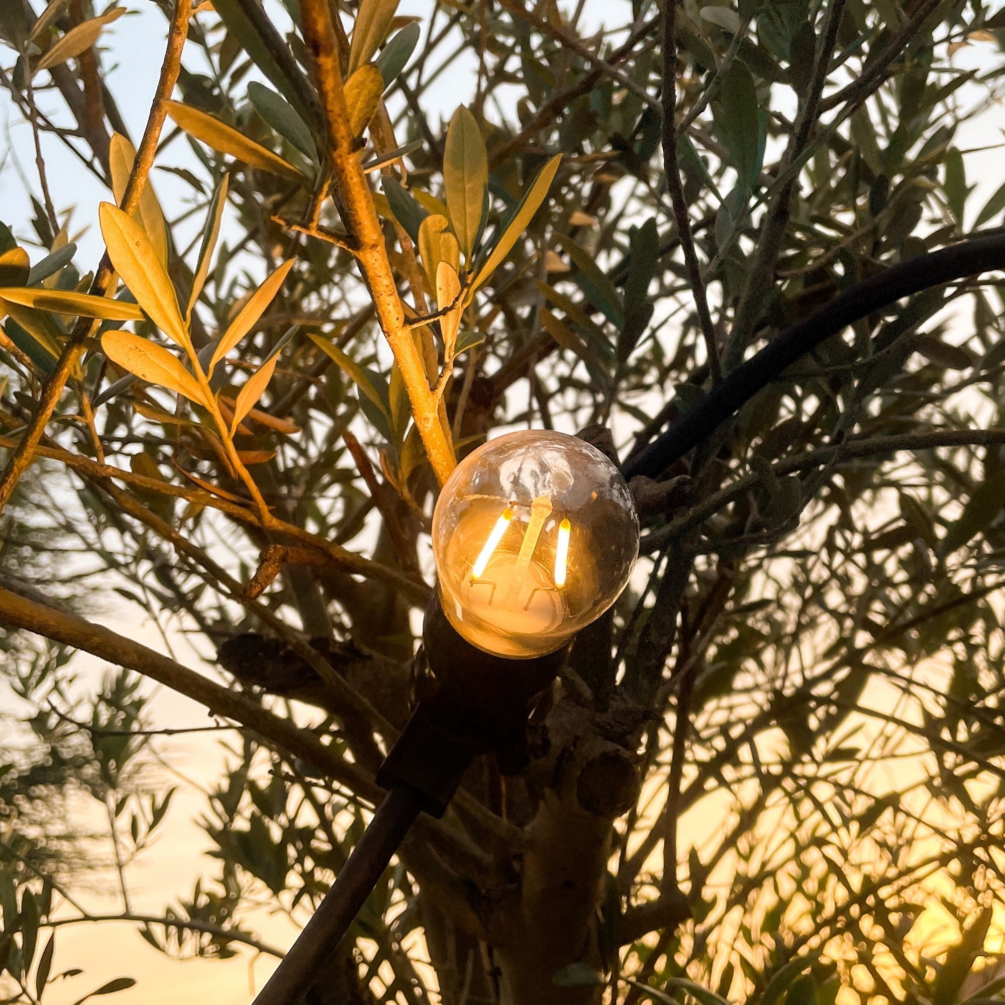 Guirlande guinguette B22 filament