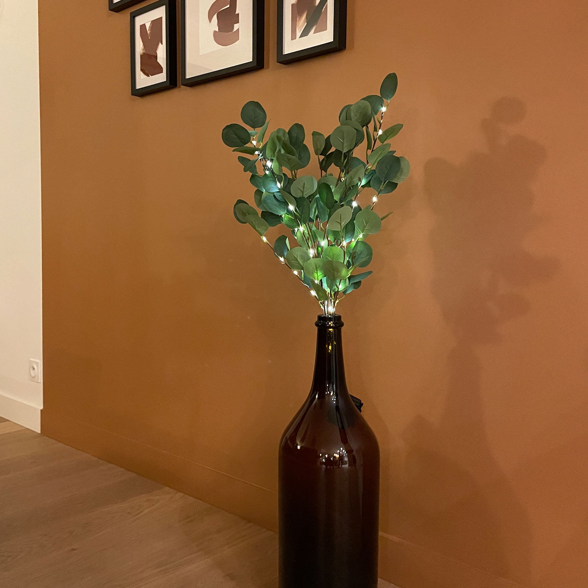 Branche d'eucalyptus