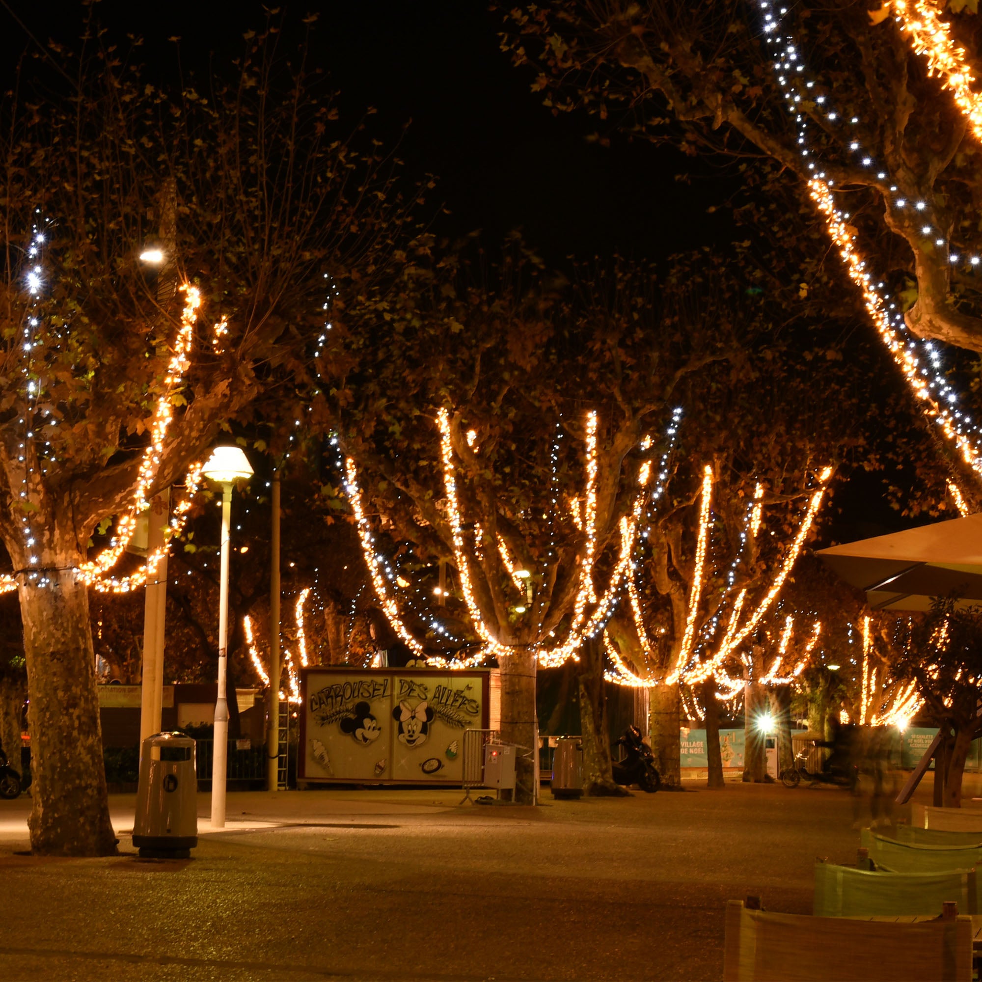 Boa fusée filant - 230V