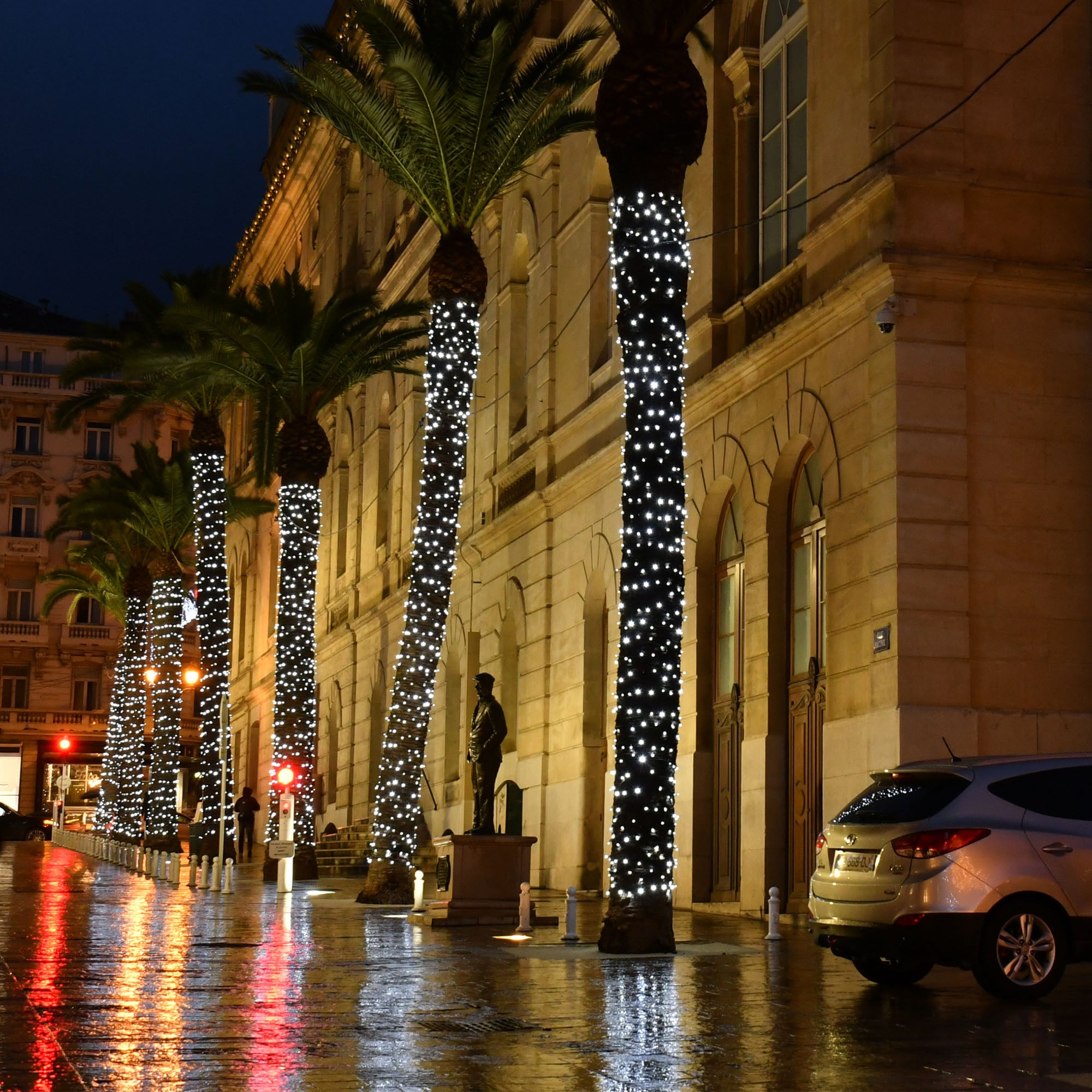 Guirlande fixe Blanc L20m - 230V