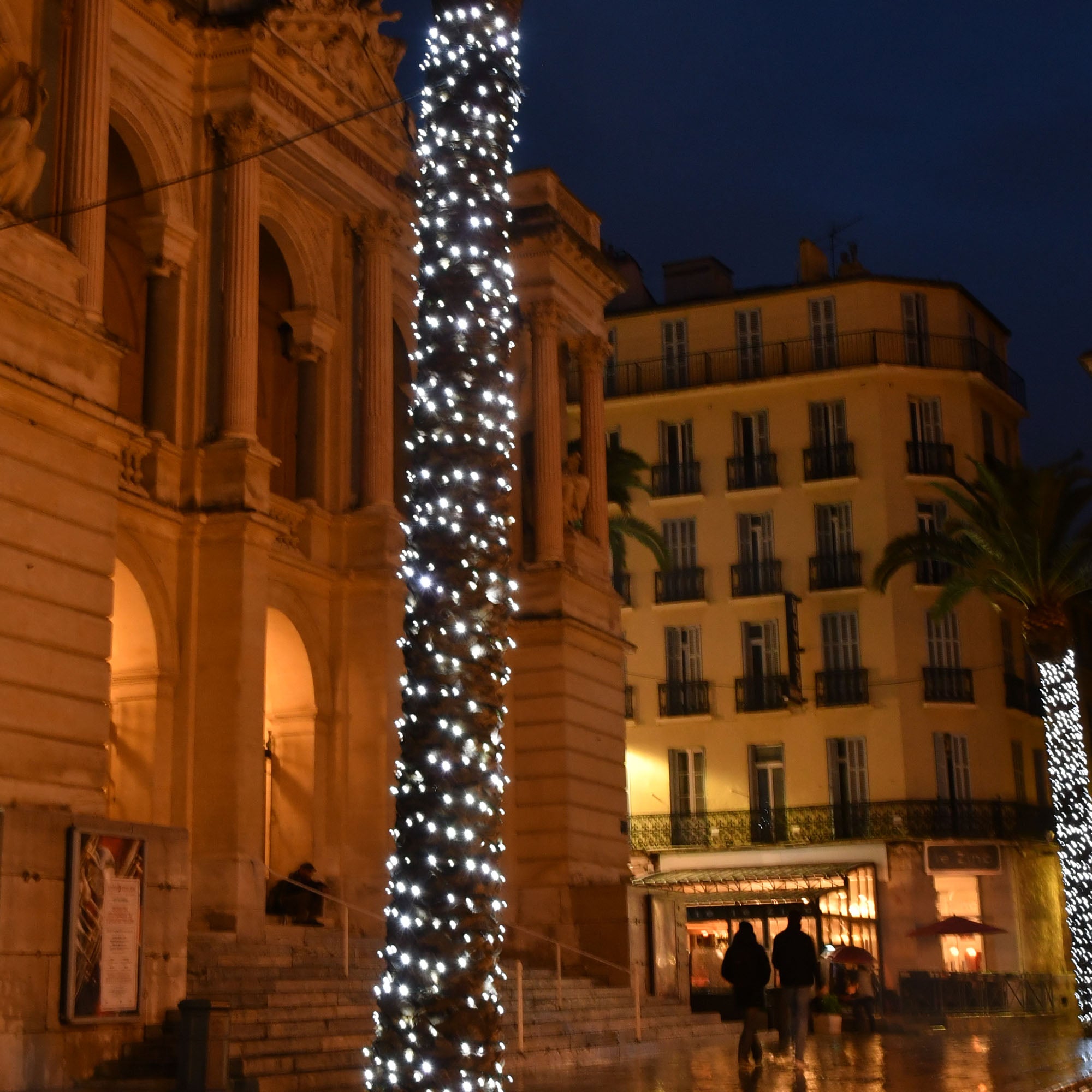 Guirlande fixe Blanc L20m - 230V