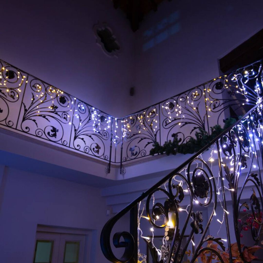 Frise Twinkly Pro H0,8 x L5m -24V