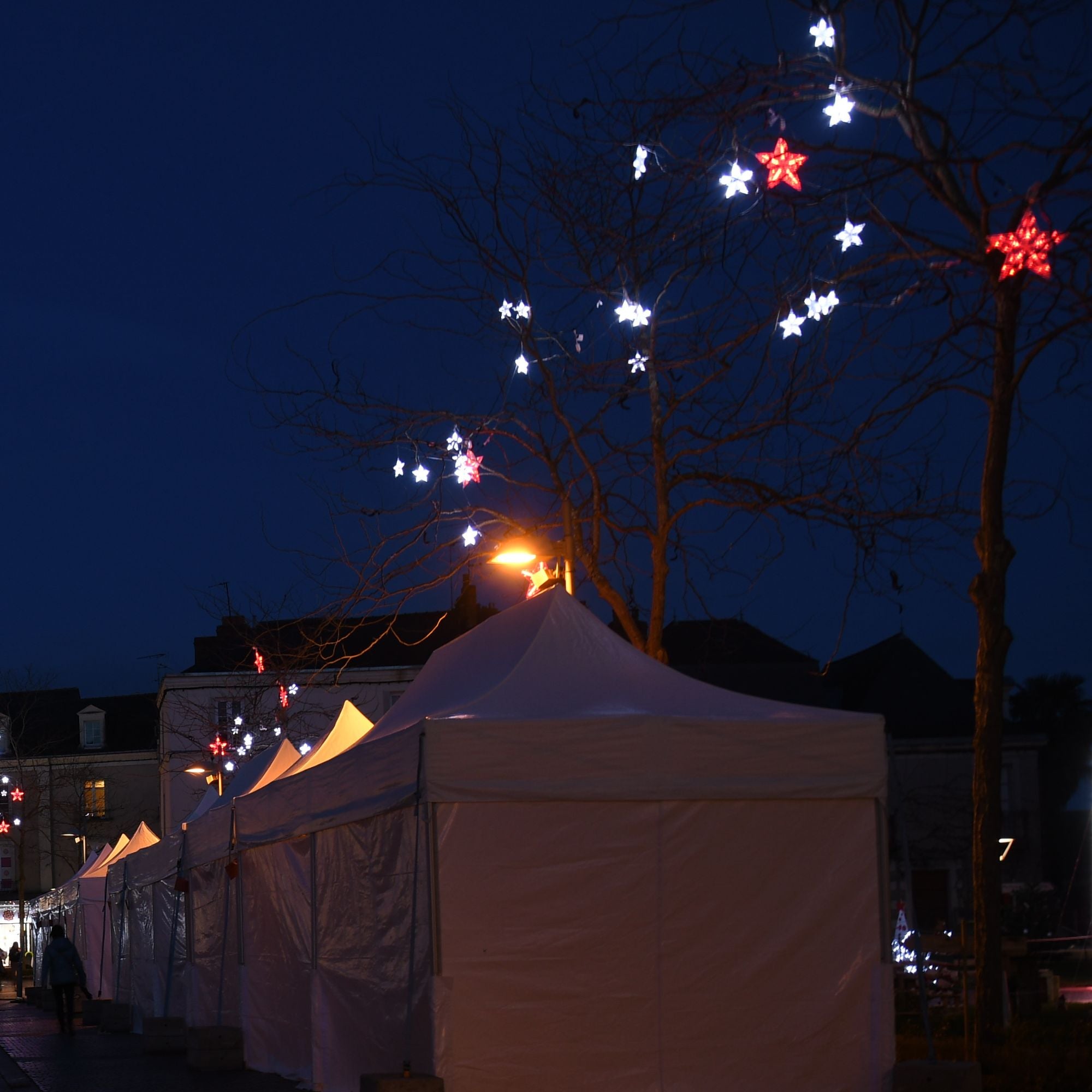 Étoile Stelly animée - 230V