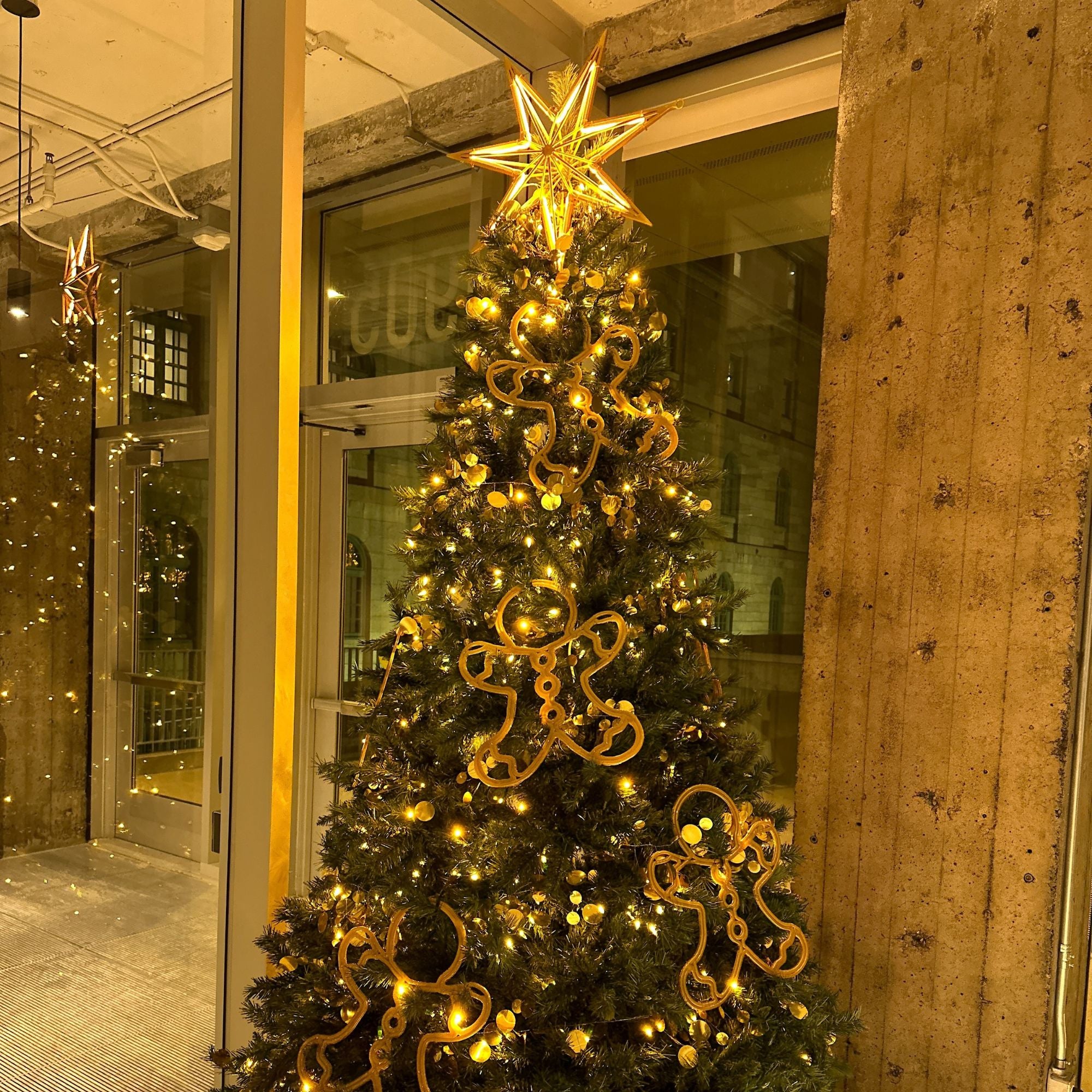 Suspension étoile néon flex- 24V