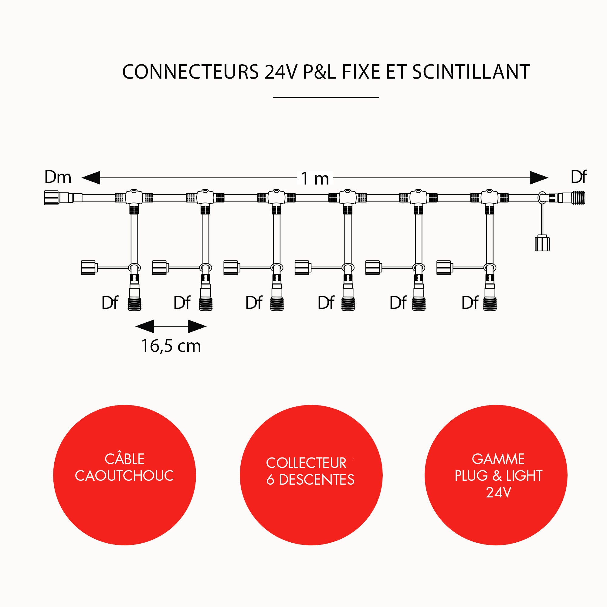 Câble Collecteur 6 descentes après transformateur - L1m - 24V