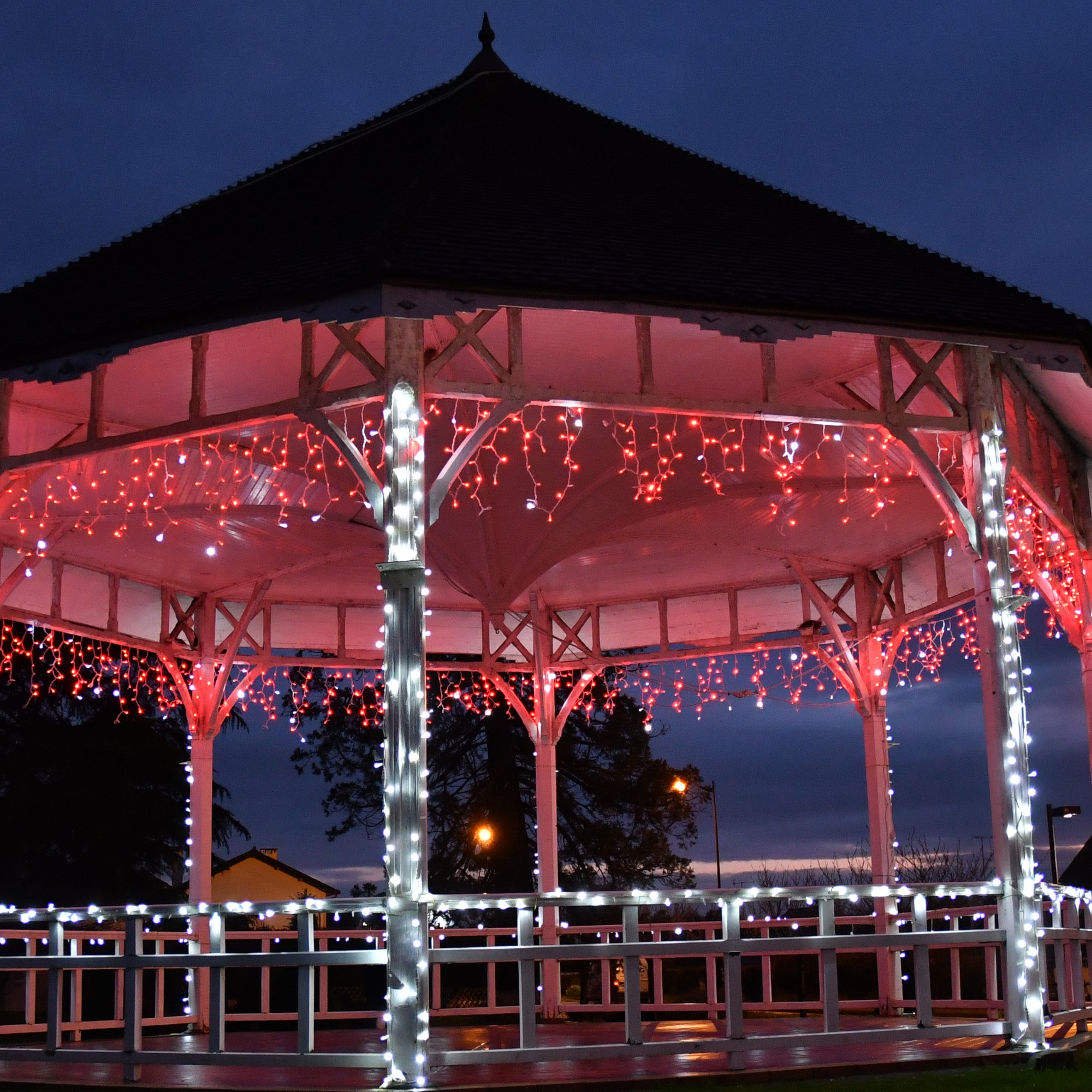 Frise scintillante H1,5 x L4m - 230V