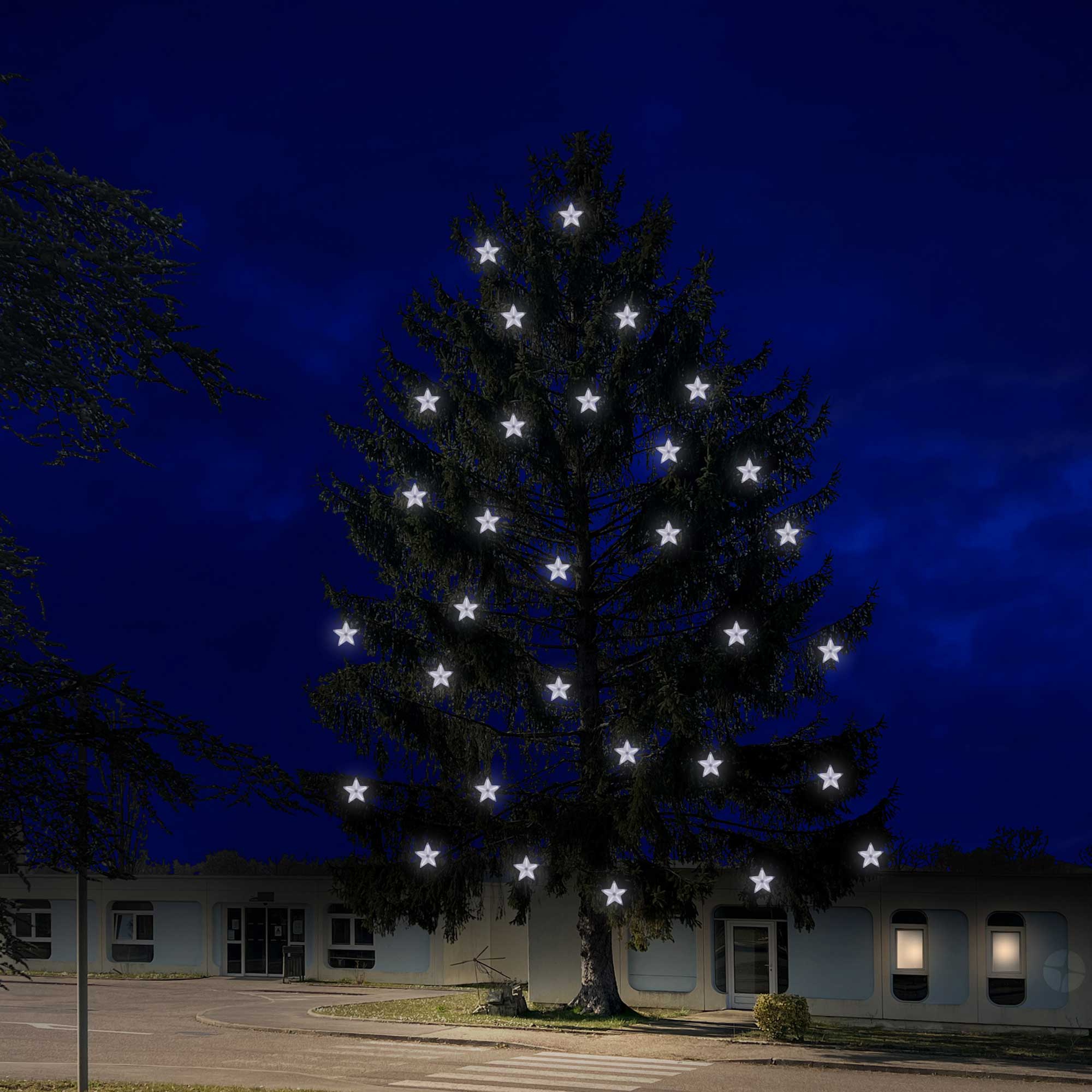 Étoile Stelly animée - 230V