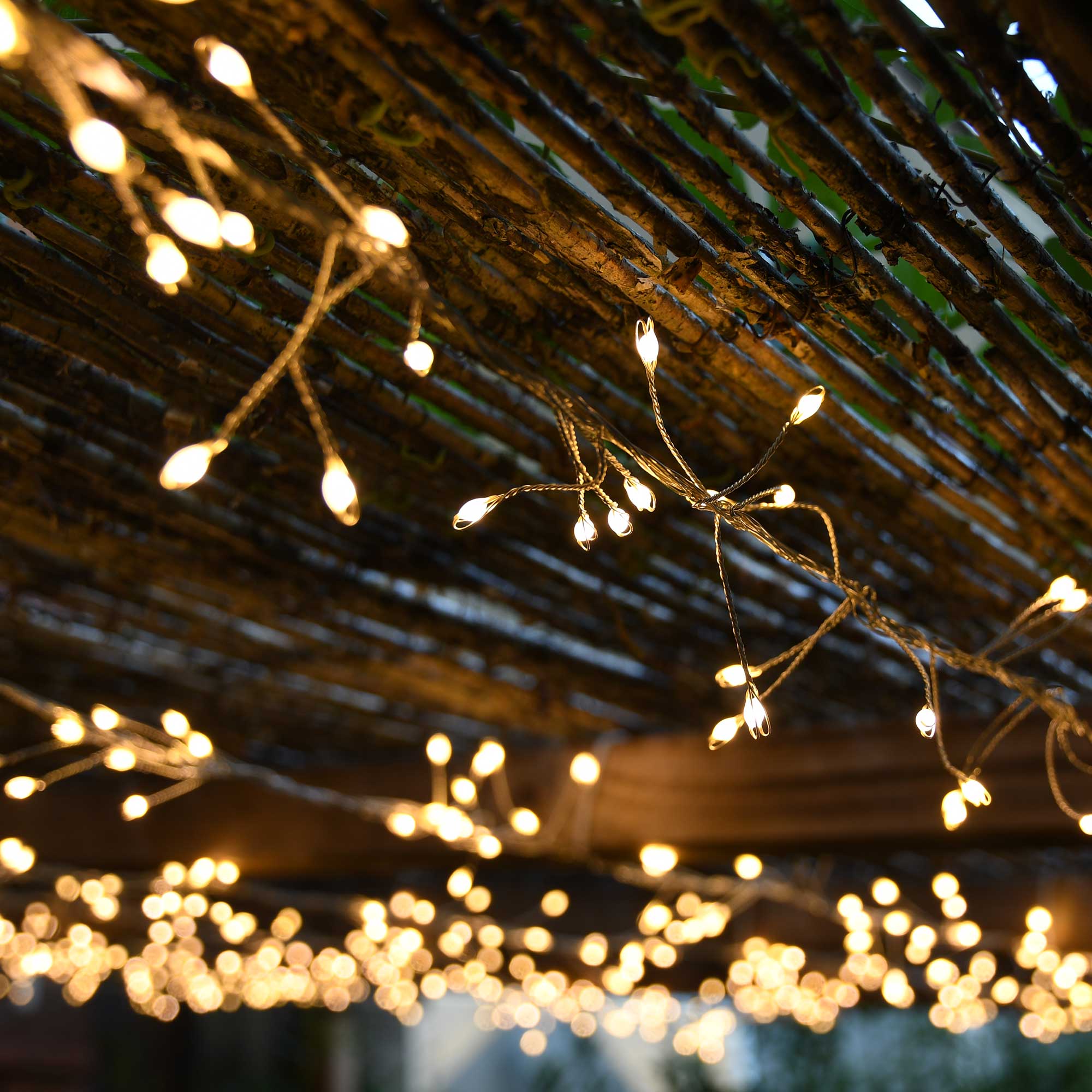 Guirlande Boa microled scintillante L20m - 24V