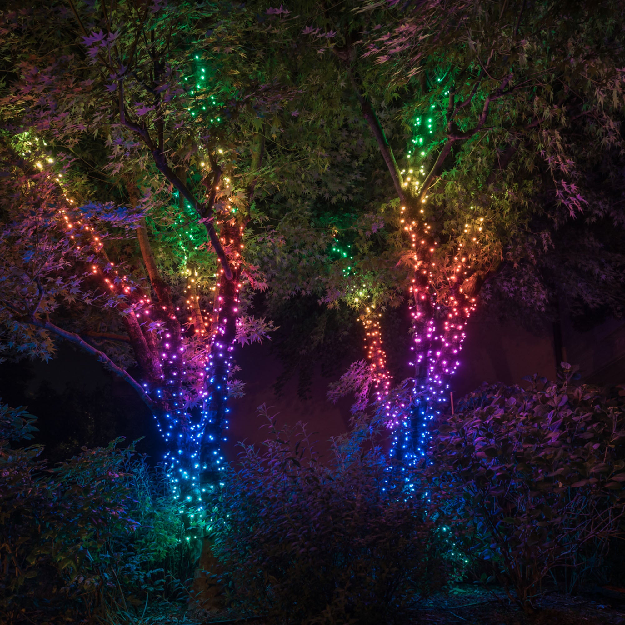 Guirlande Twinkly RVB L20m