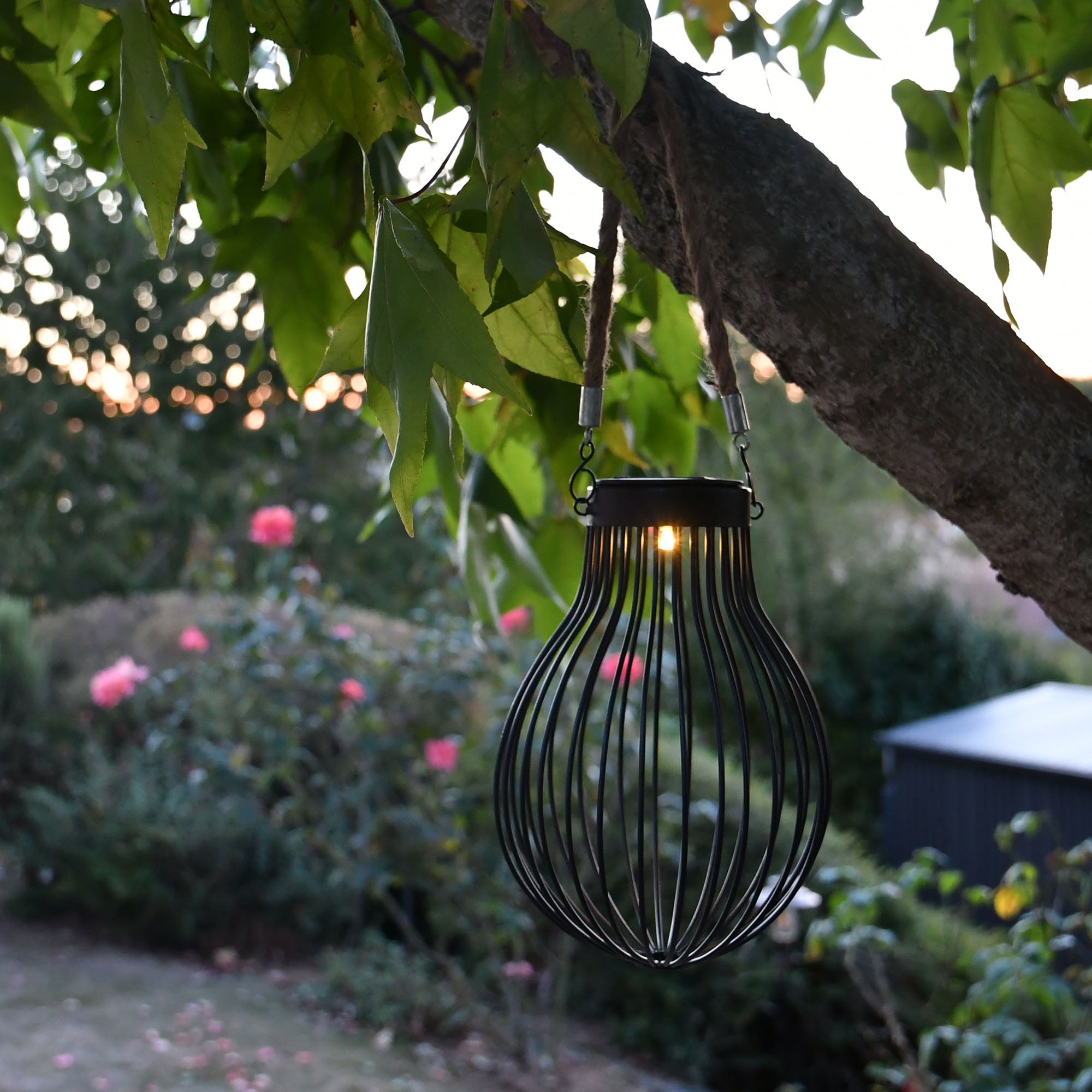 Lanterne solaire Doty