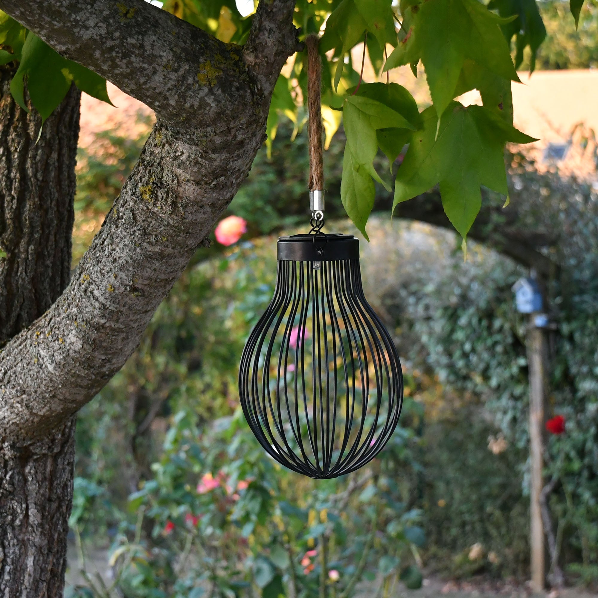 Lanterne solaire Doty