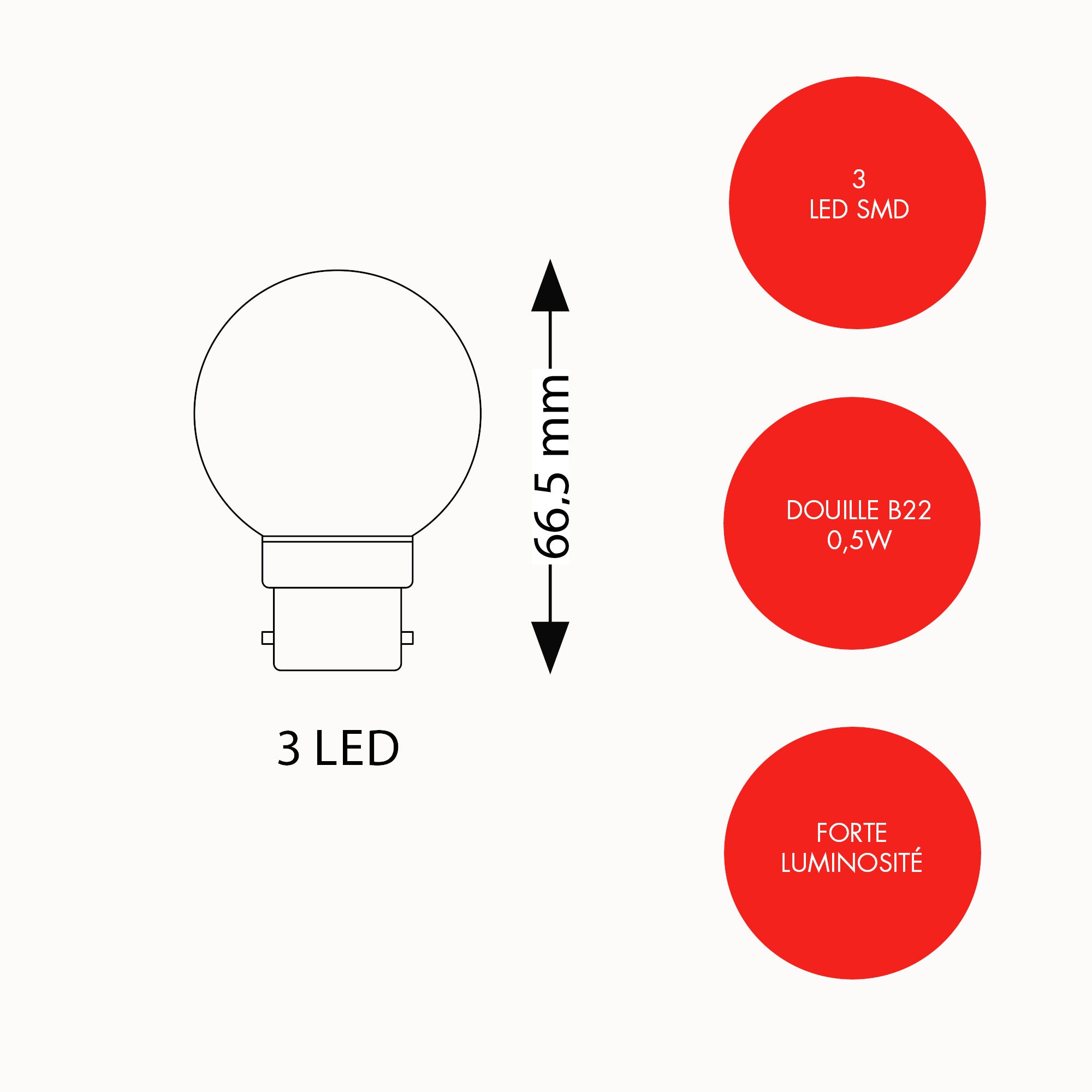 Lot de 20 ampoules B22