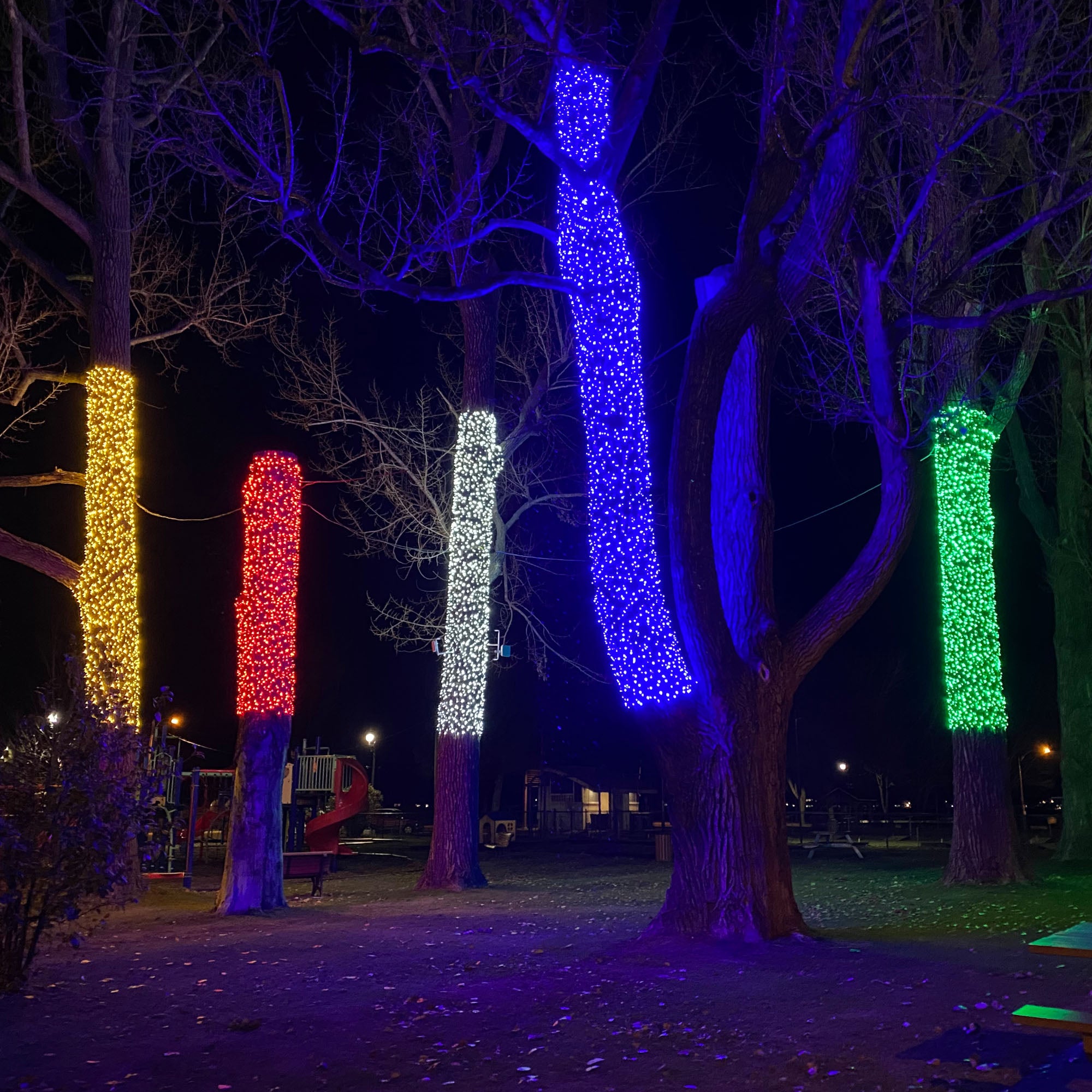 Guirlande fixe Optima L20m -230V