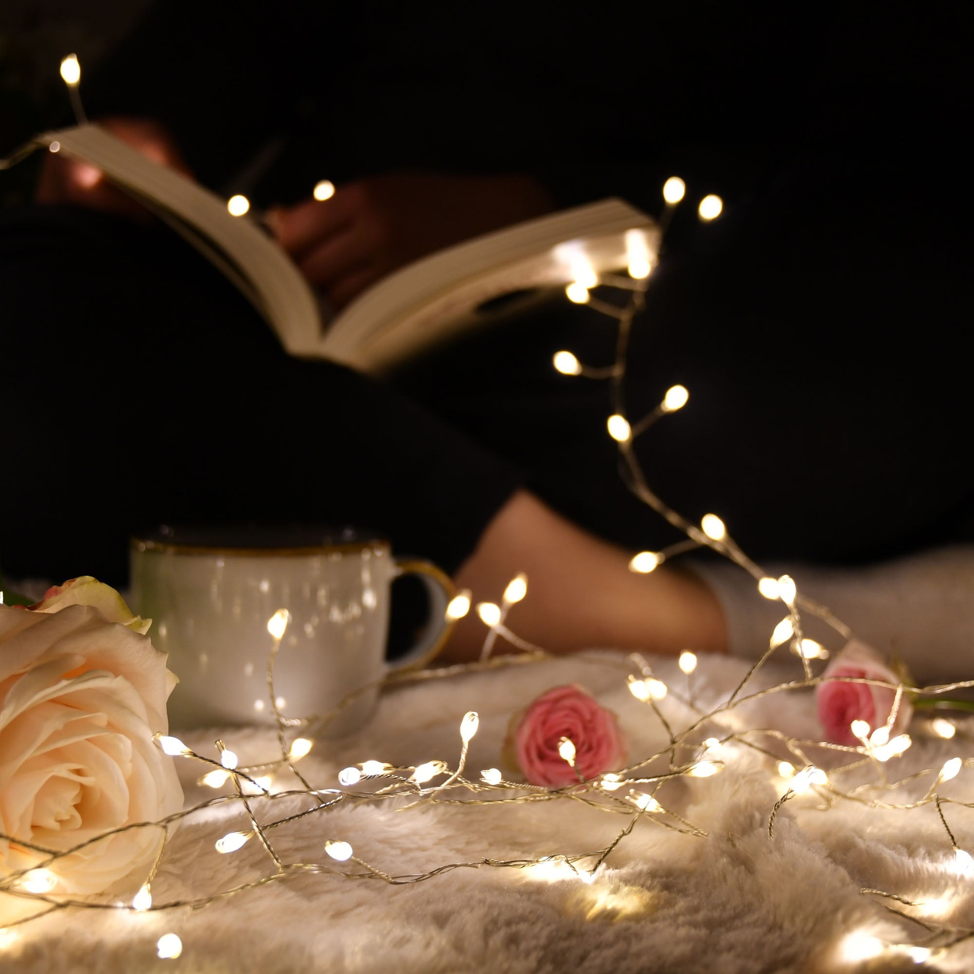 Guirlande voie lactée scintillante 6m