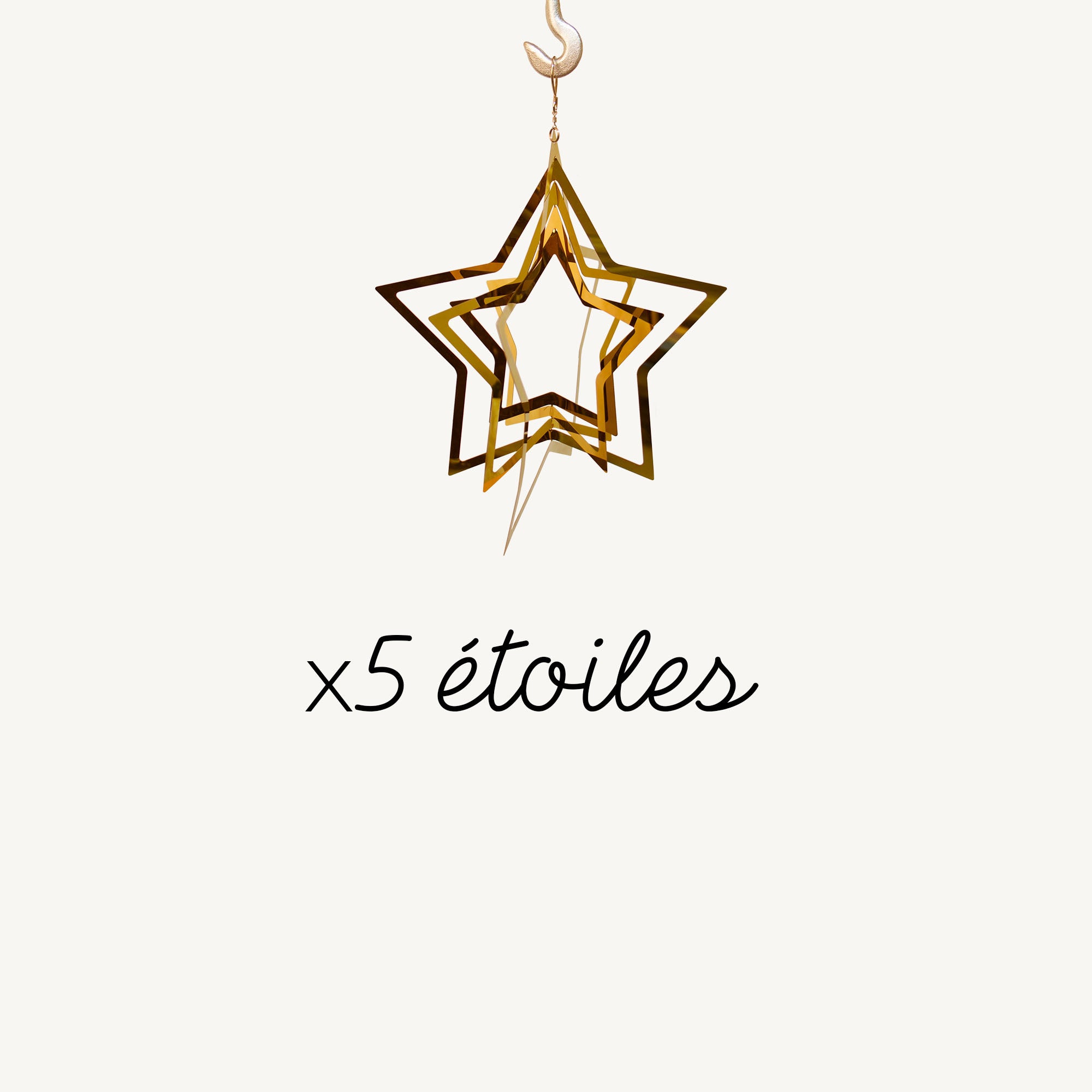 Lot de 5 minis étoiles rifletti