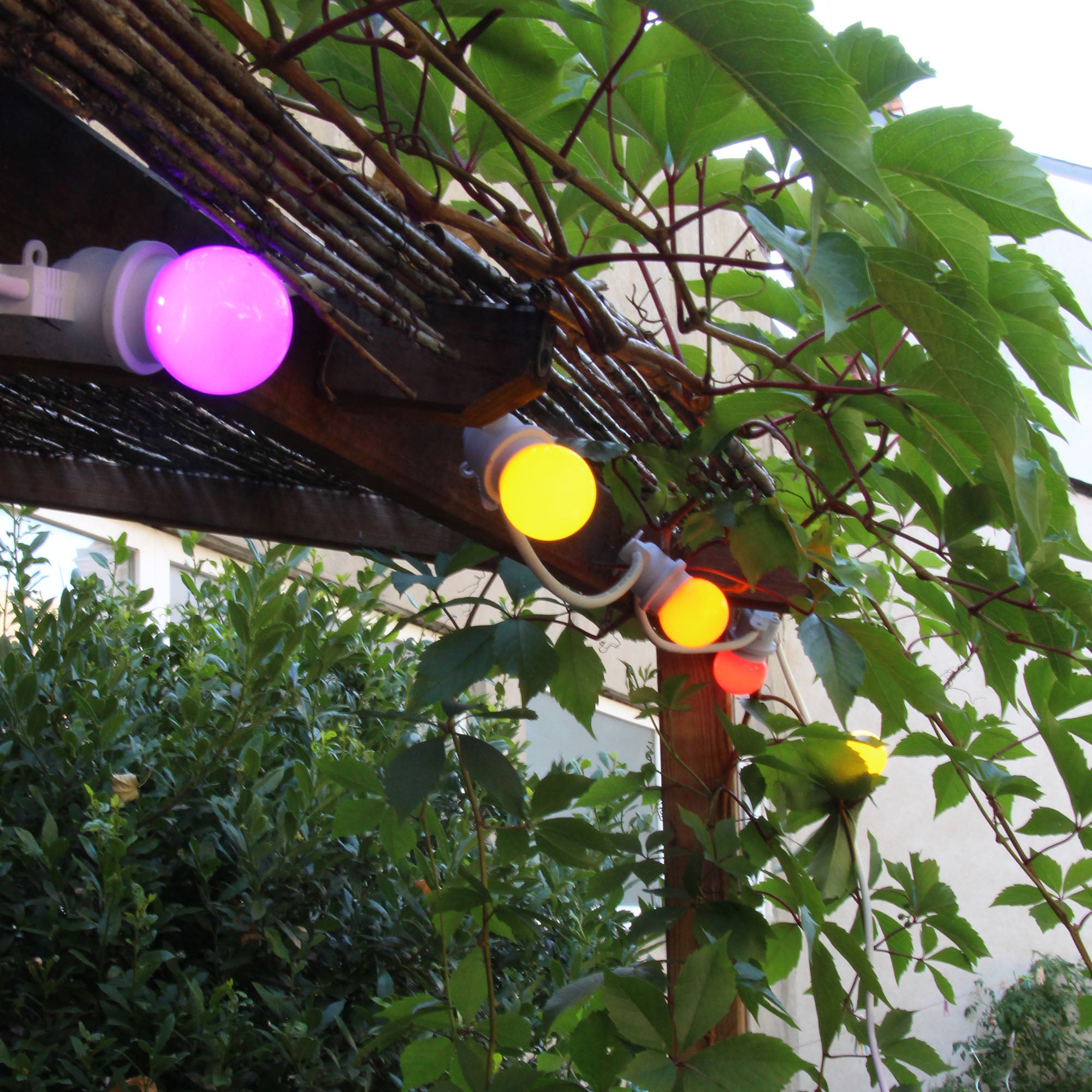 Guirlande guinguette Festival